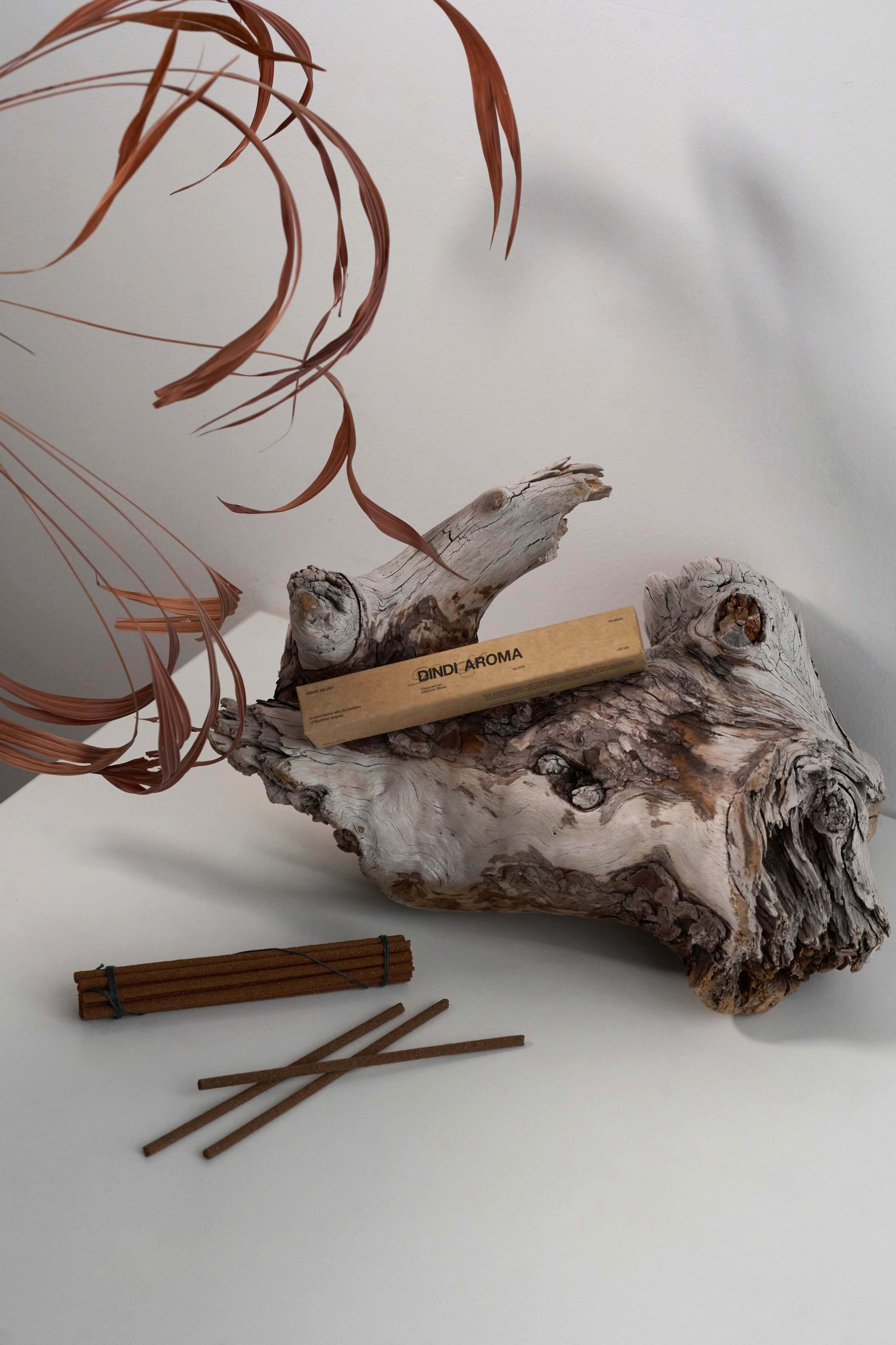 Dindi aroma. Фотограф Улан-Удэ