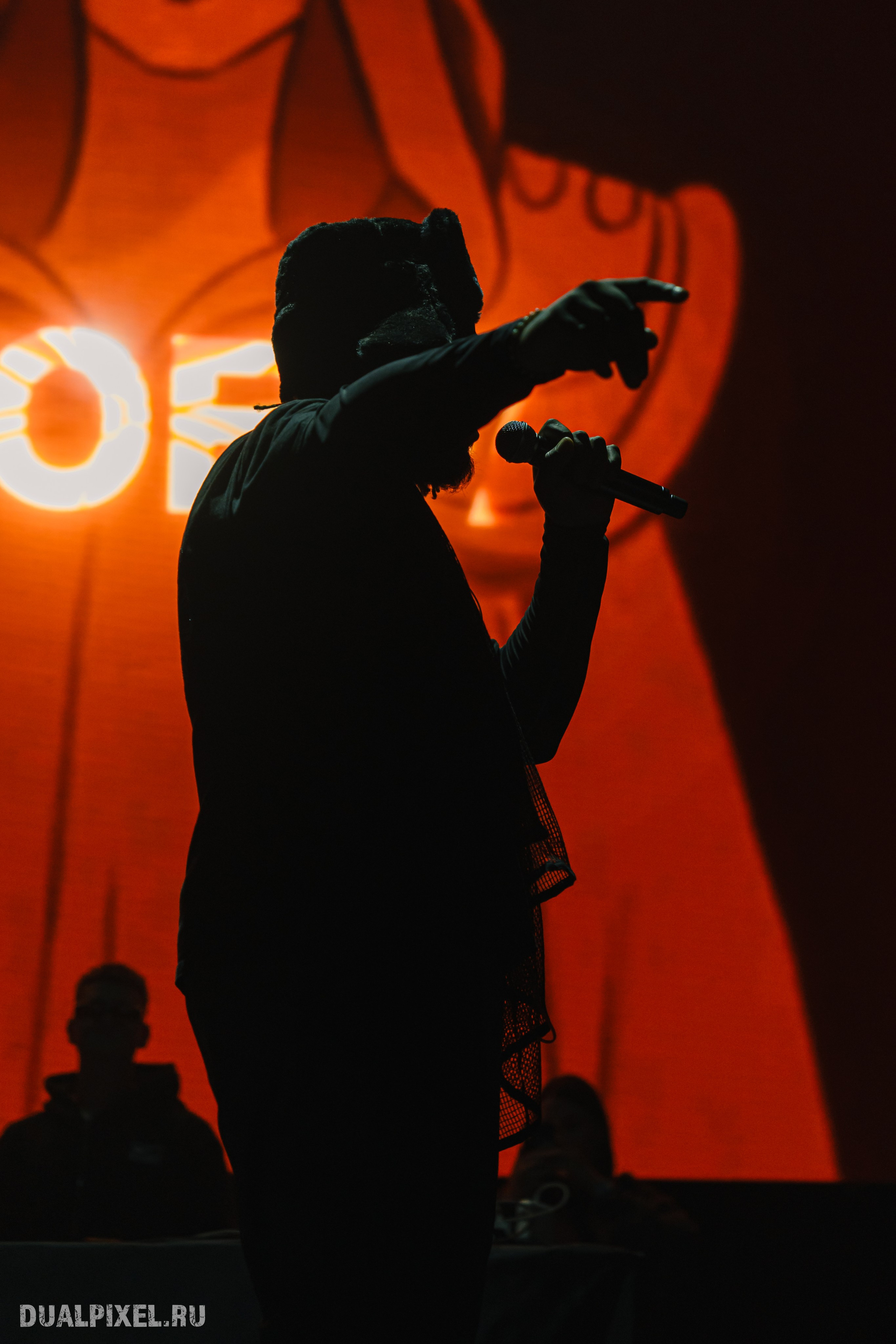 Prince Of Falls. Магия музыки в кадре: Концертная Фотография