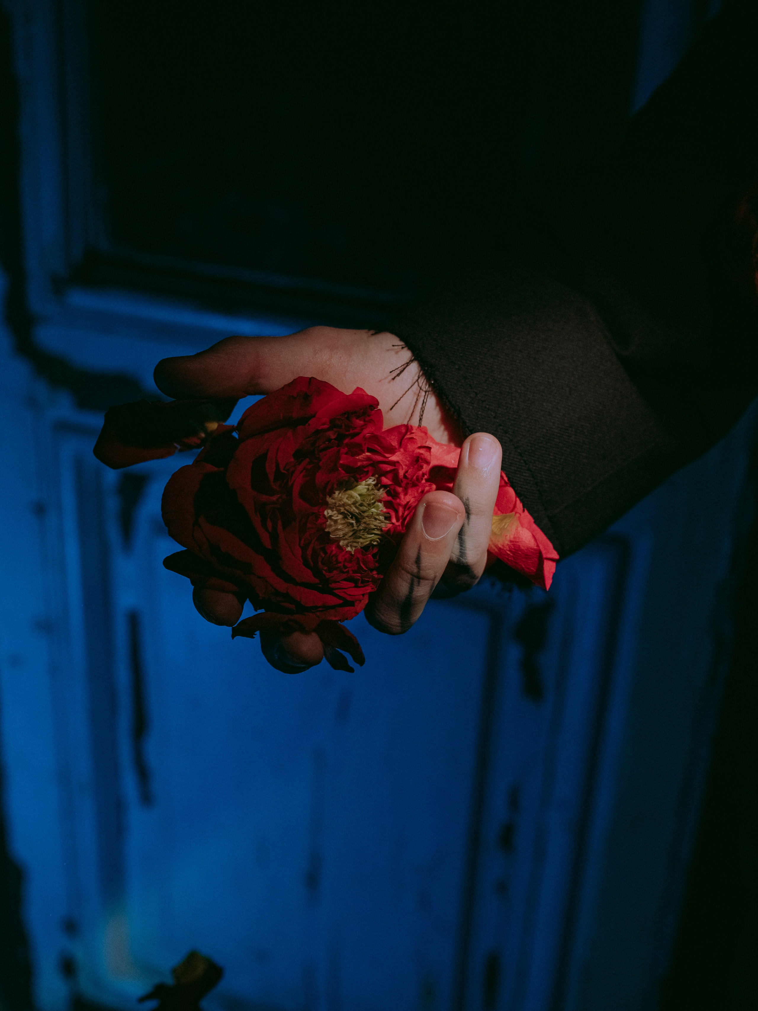 MONSTER. Фотограф в Санкт-Петербурге Эллис