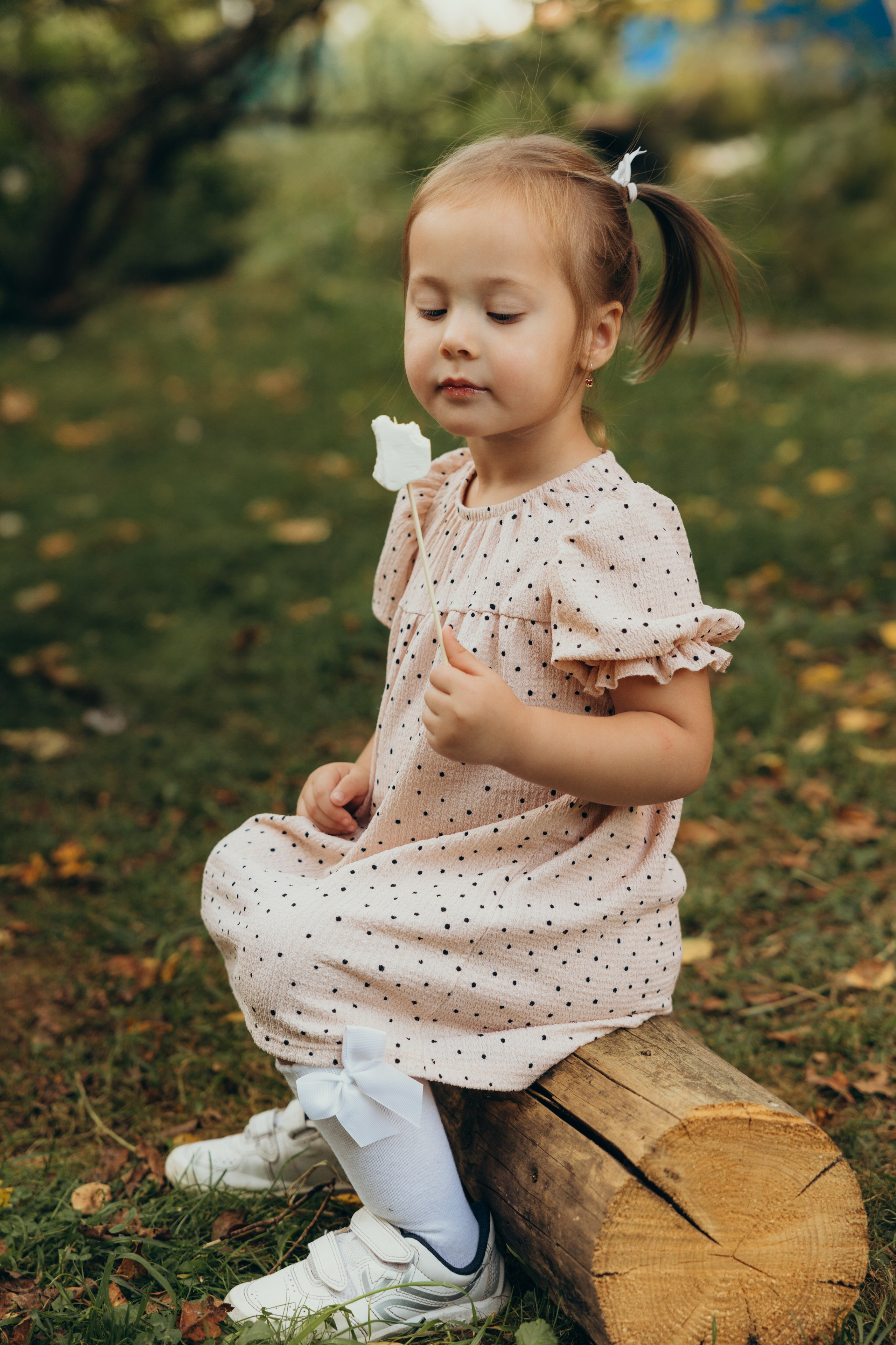 Уютная история. Фотограф Сотникова Вероника