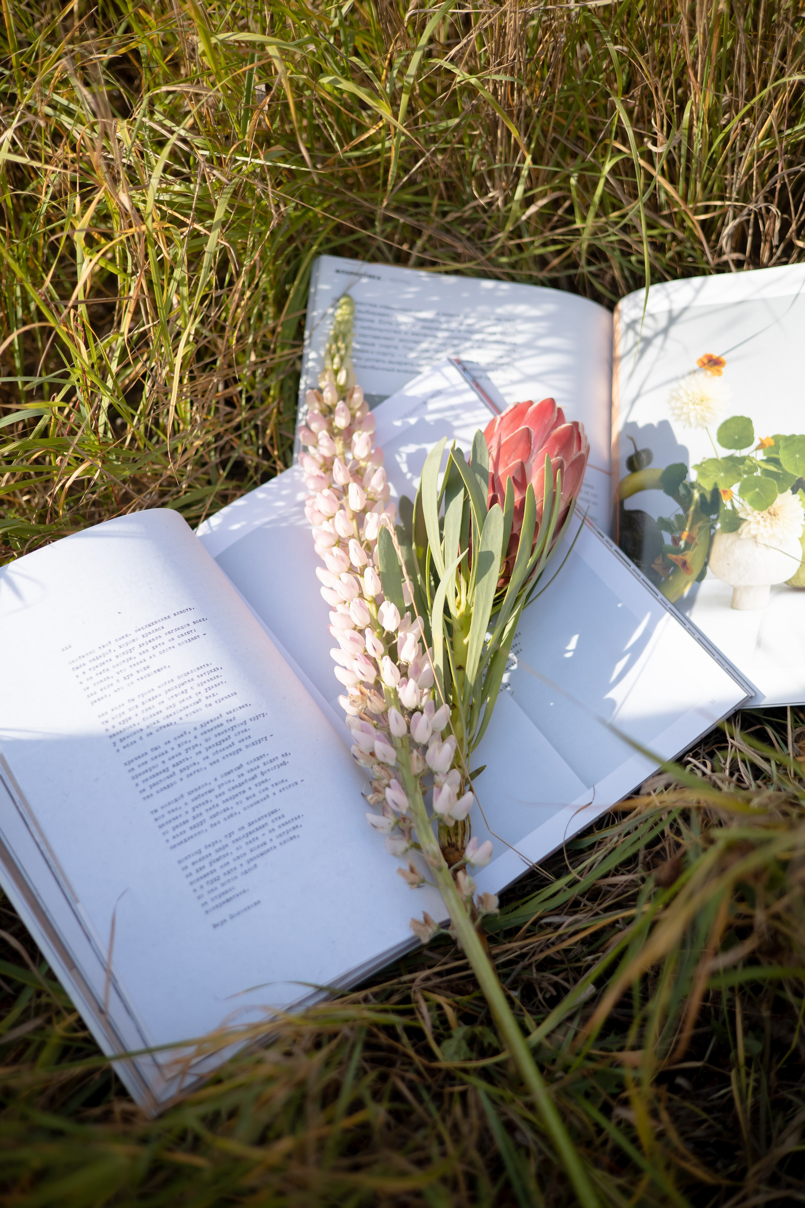 EVA. Фотограф Элла Ефимова