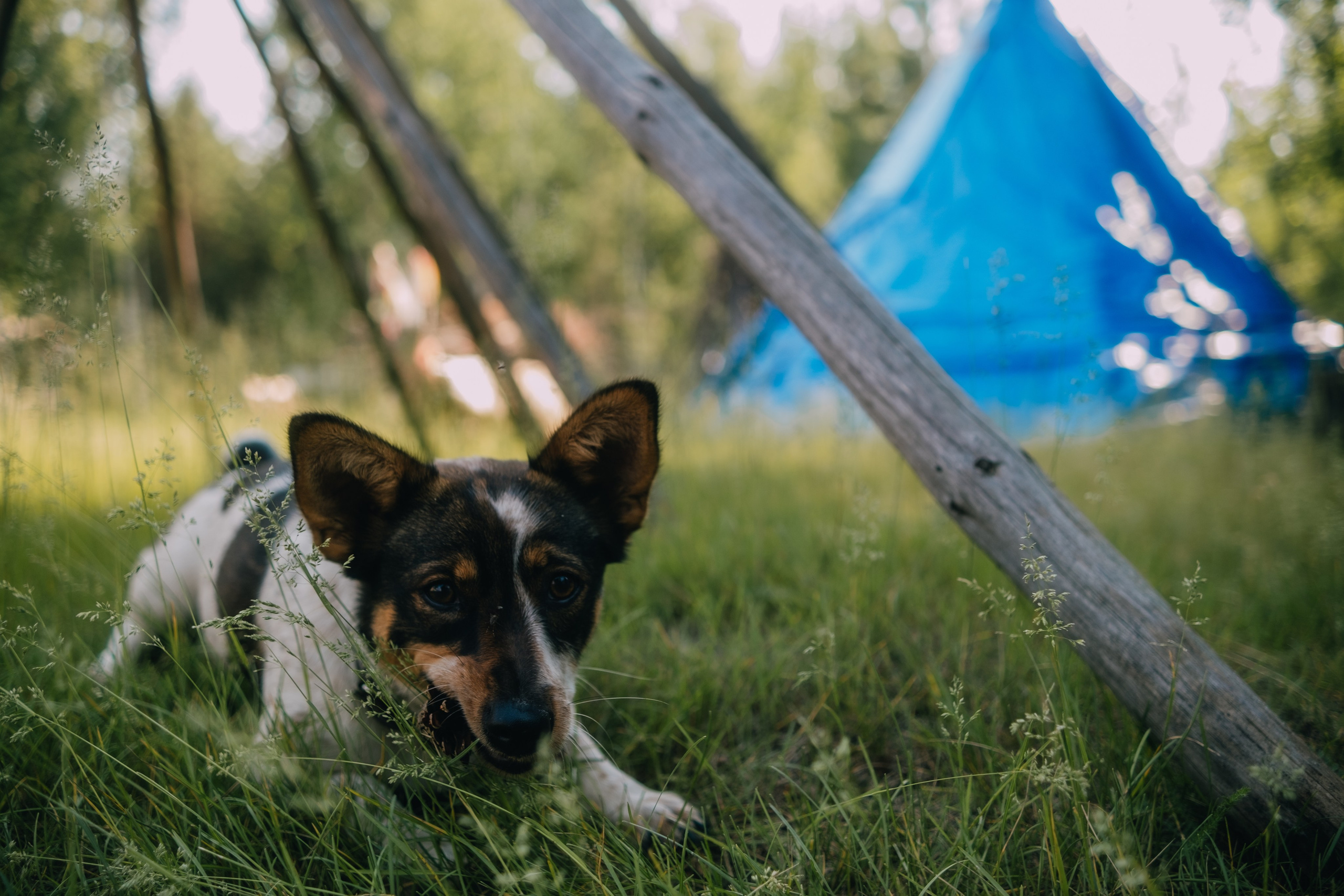 Выезд на этностойбище ресторан — музей «Чум». Фотограф в Тюмени Кирилл Марфин