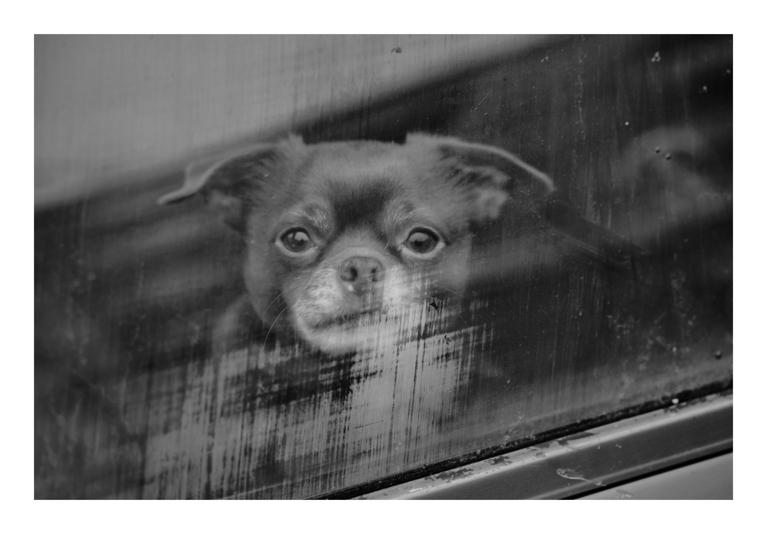 Фотопринты А3. Фотопроект «Территории»