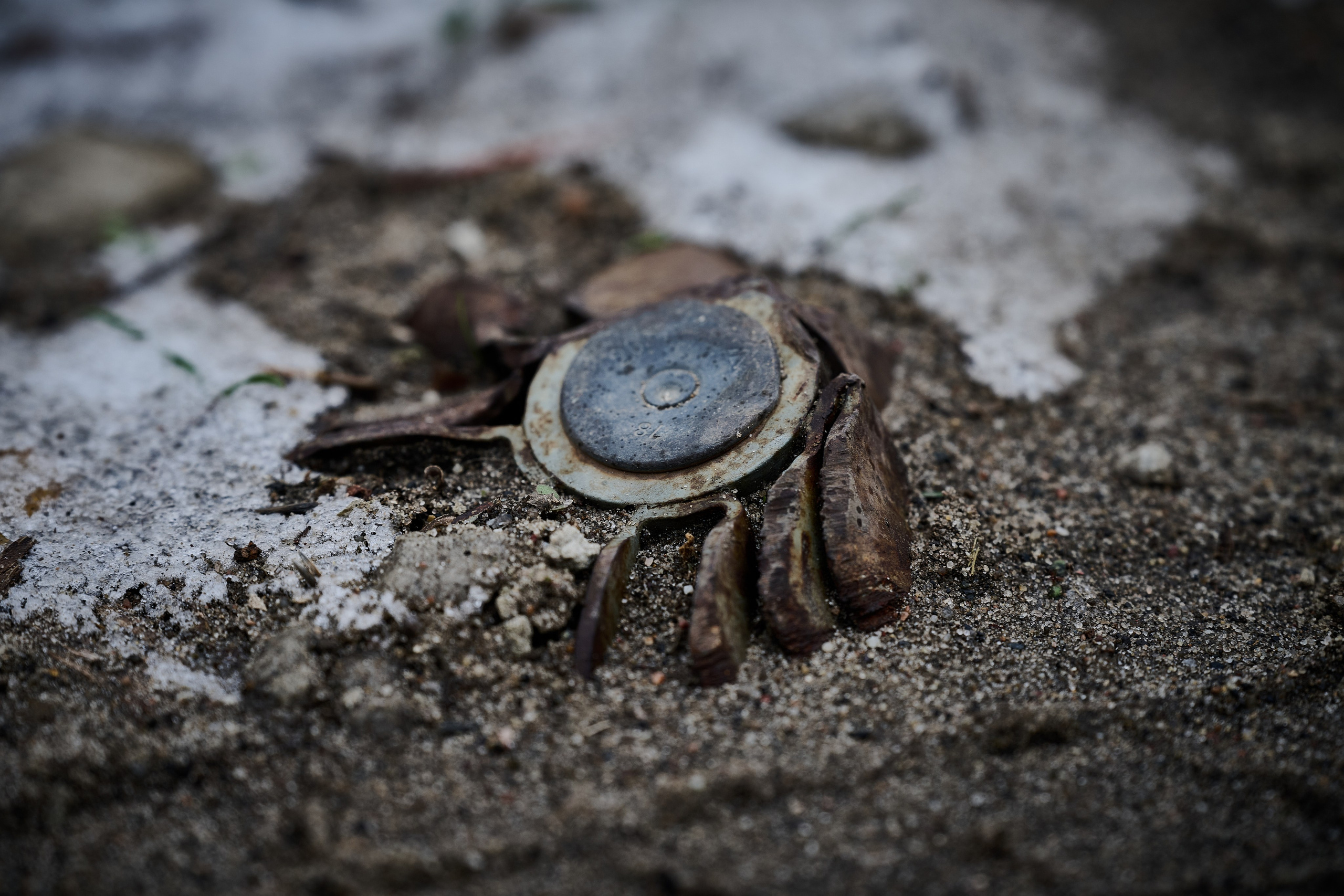 Фото для презентации фотопроекта «Территории». Фотопроект «Территории»