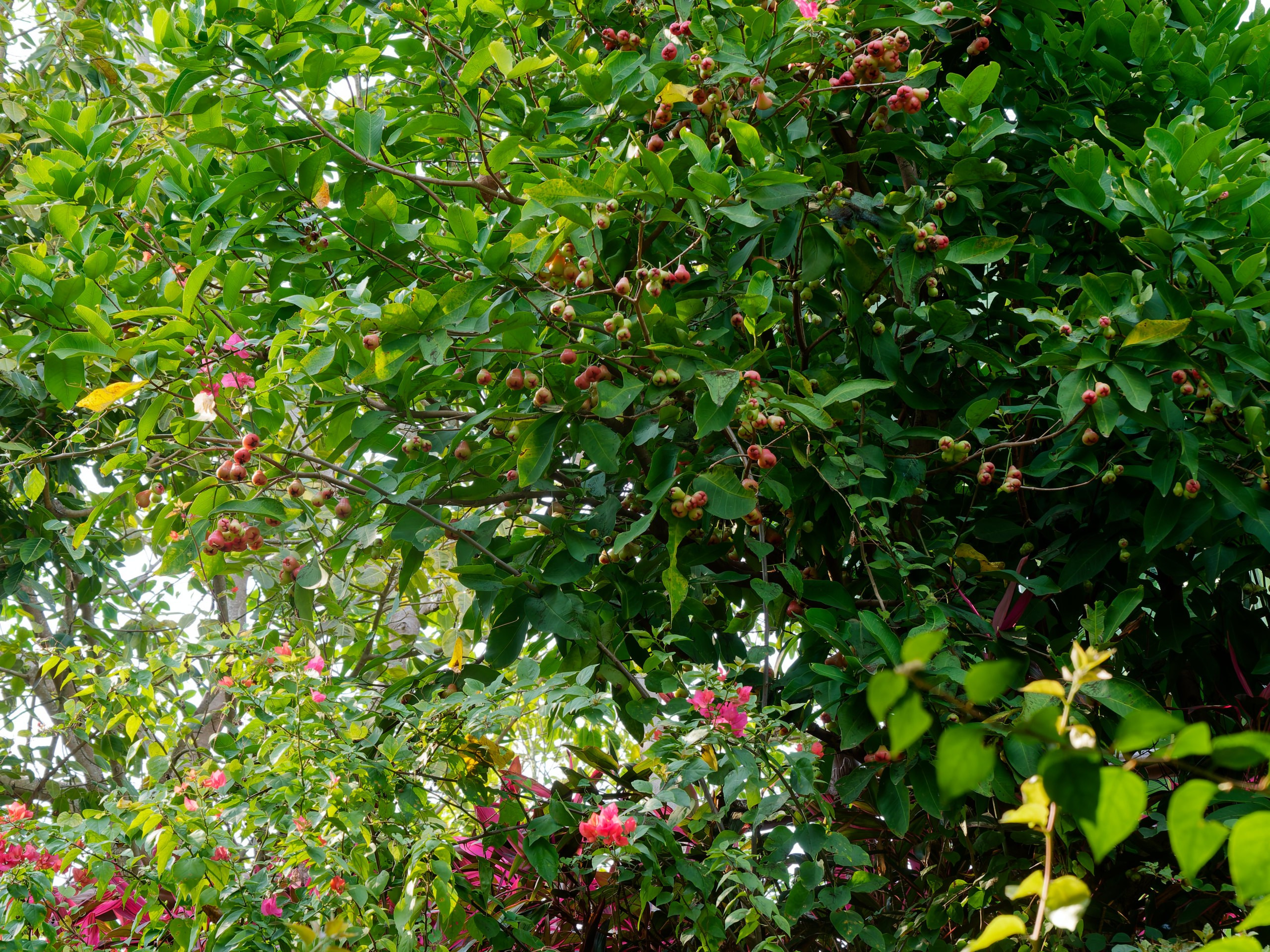 Хайнань 2026, Горячий источник DoubleTree by Hilton Lingshui. Фотопрогулки по Миру