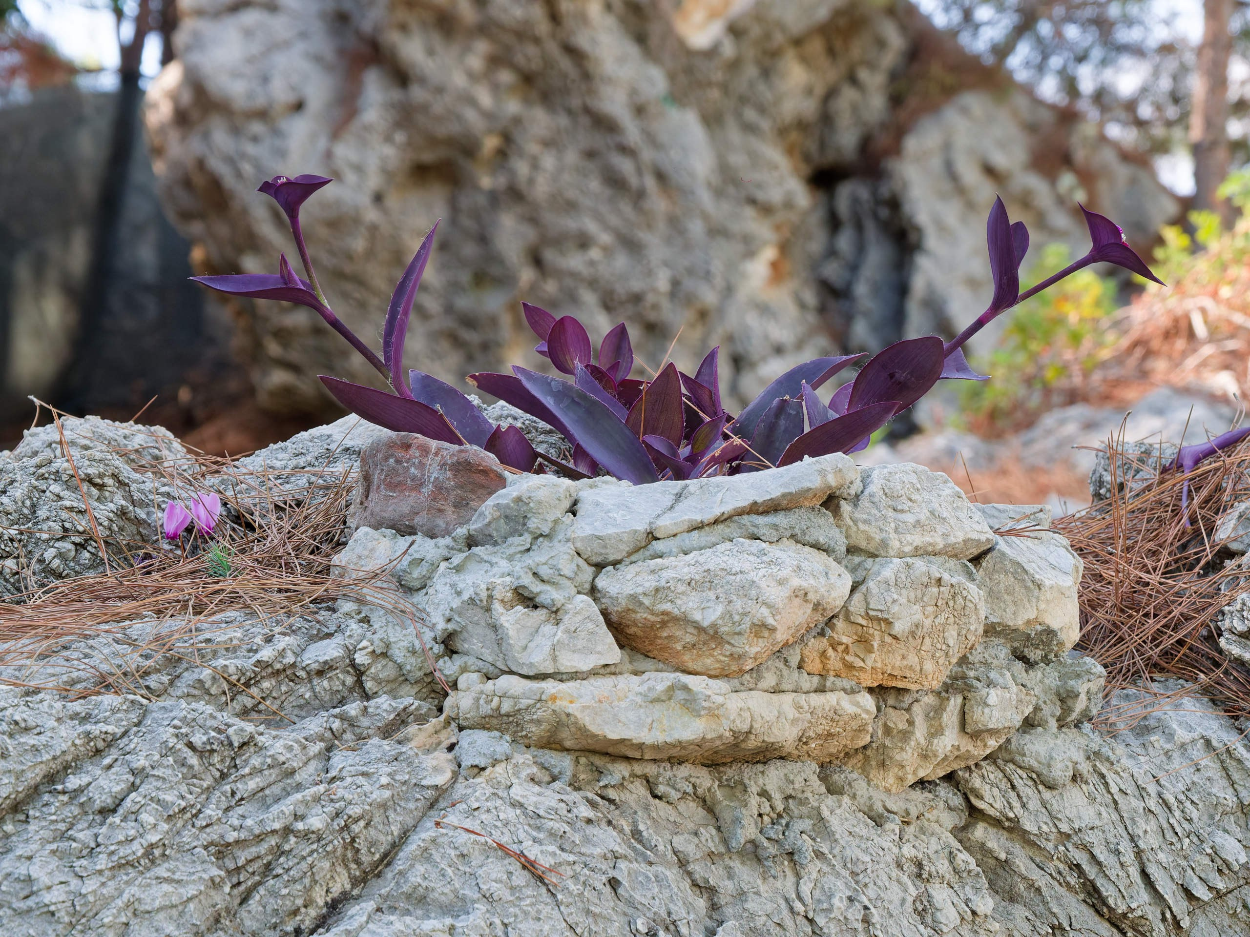 Алания 2025, крепость Alanya Kalesi. Избранные фотографии
