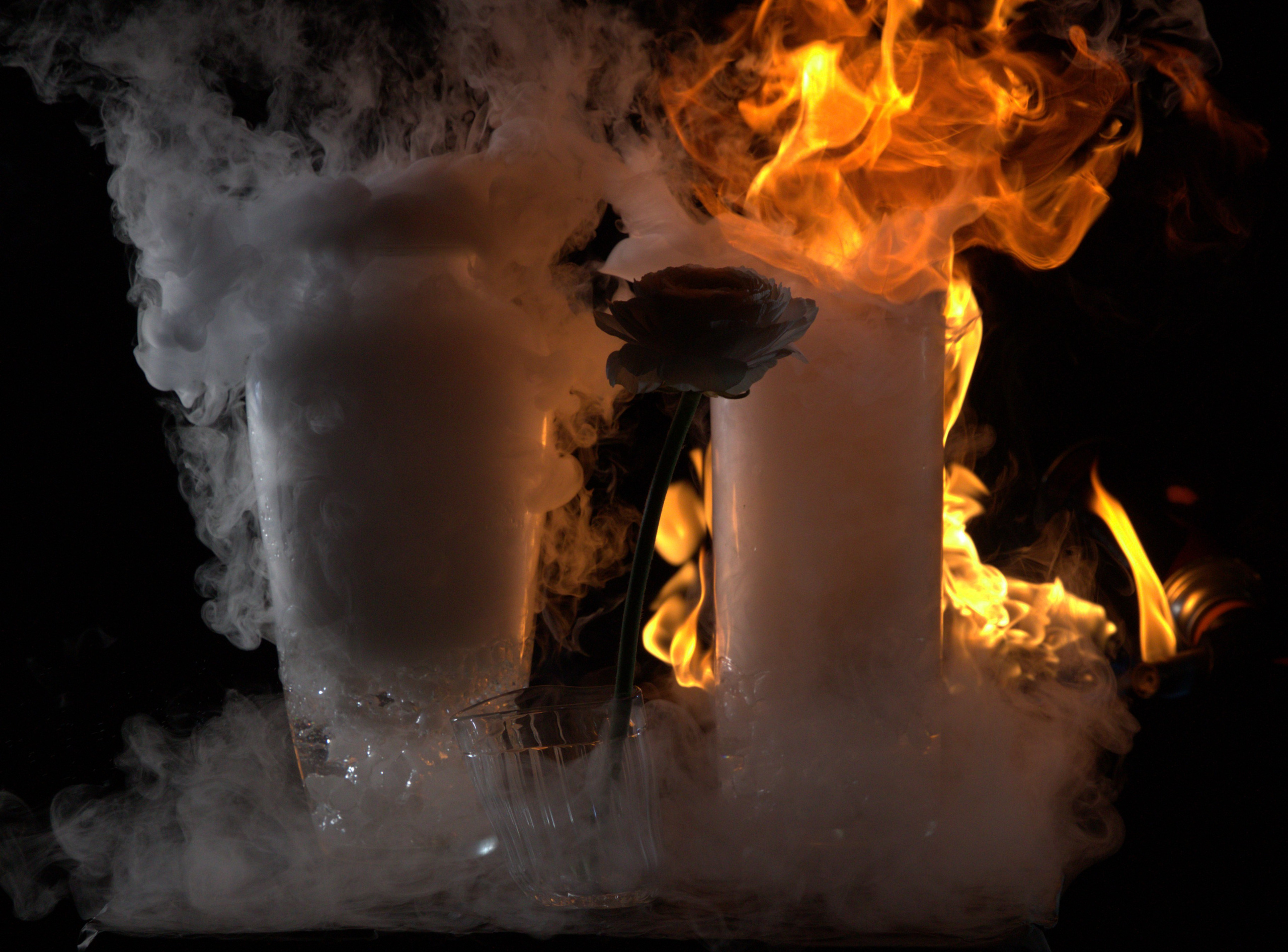 ПРЕДМЕТКА. Свадебный, студийный и репортажный фотограф в городе Москва