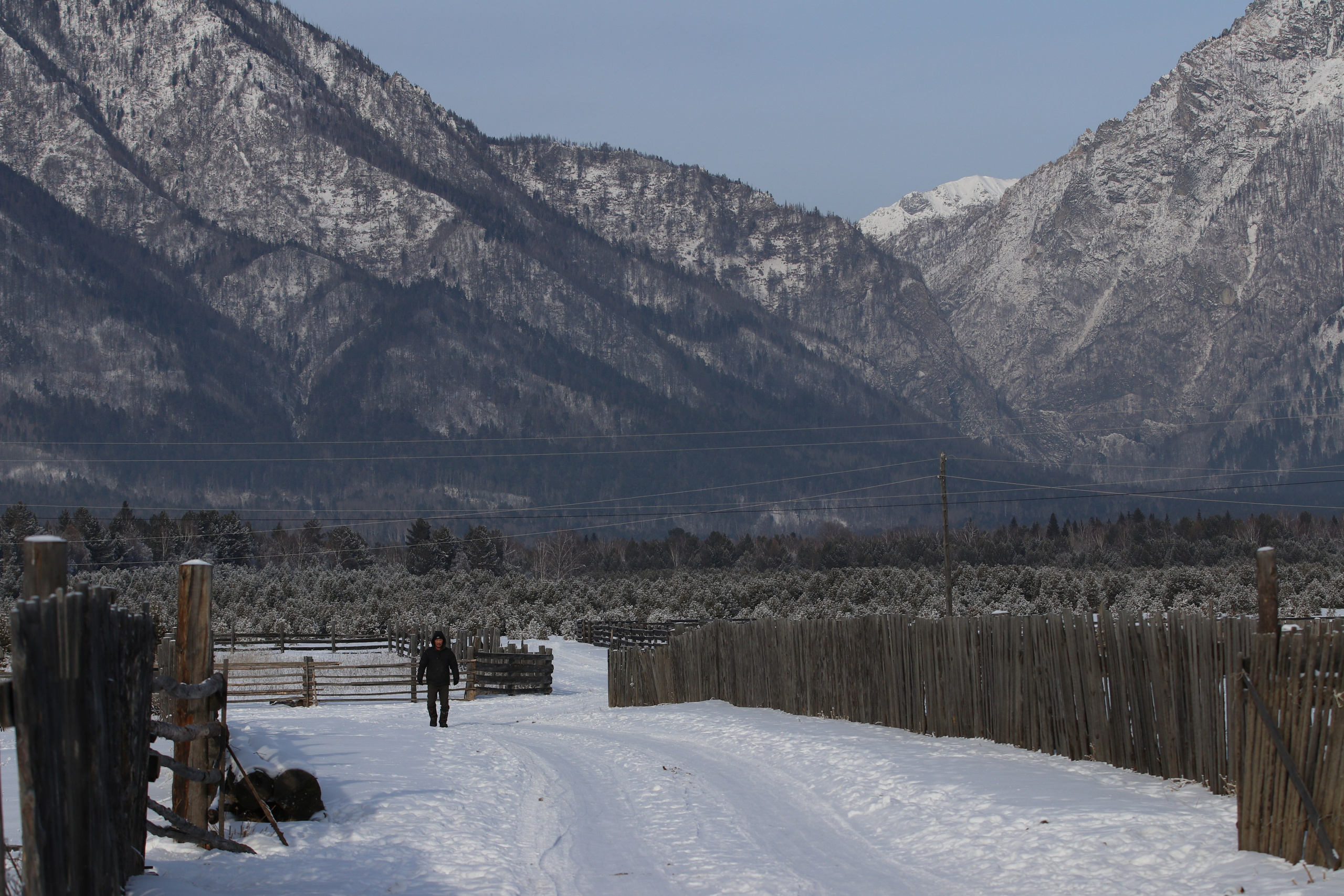 Аршан. Январь 2024. Путешественник-фотограф из Санкт-Петербурга Татьяна Свистулина
