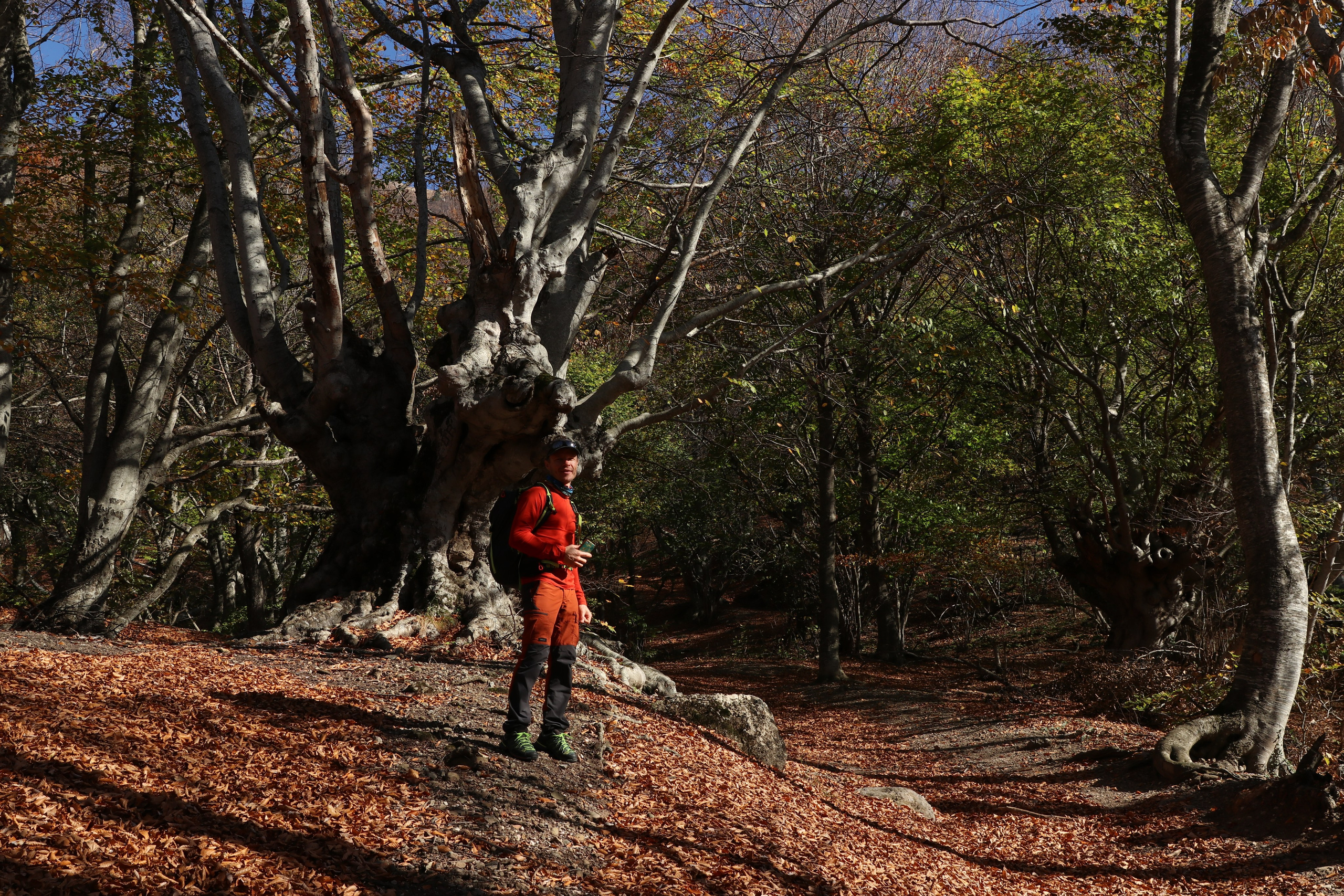 Крым. ЮБК (Гурзуф, Судак и их окрестности). Ноябрь 2023. Путешественник-фотограф из Санкт-Петербурга Татьяна Свистулина