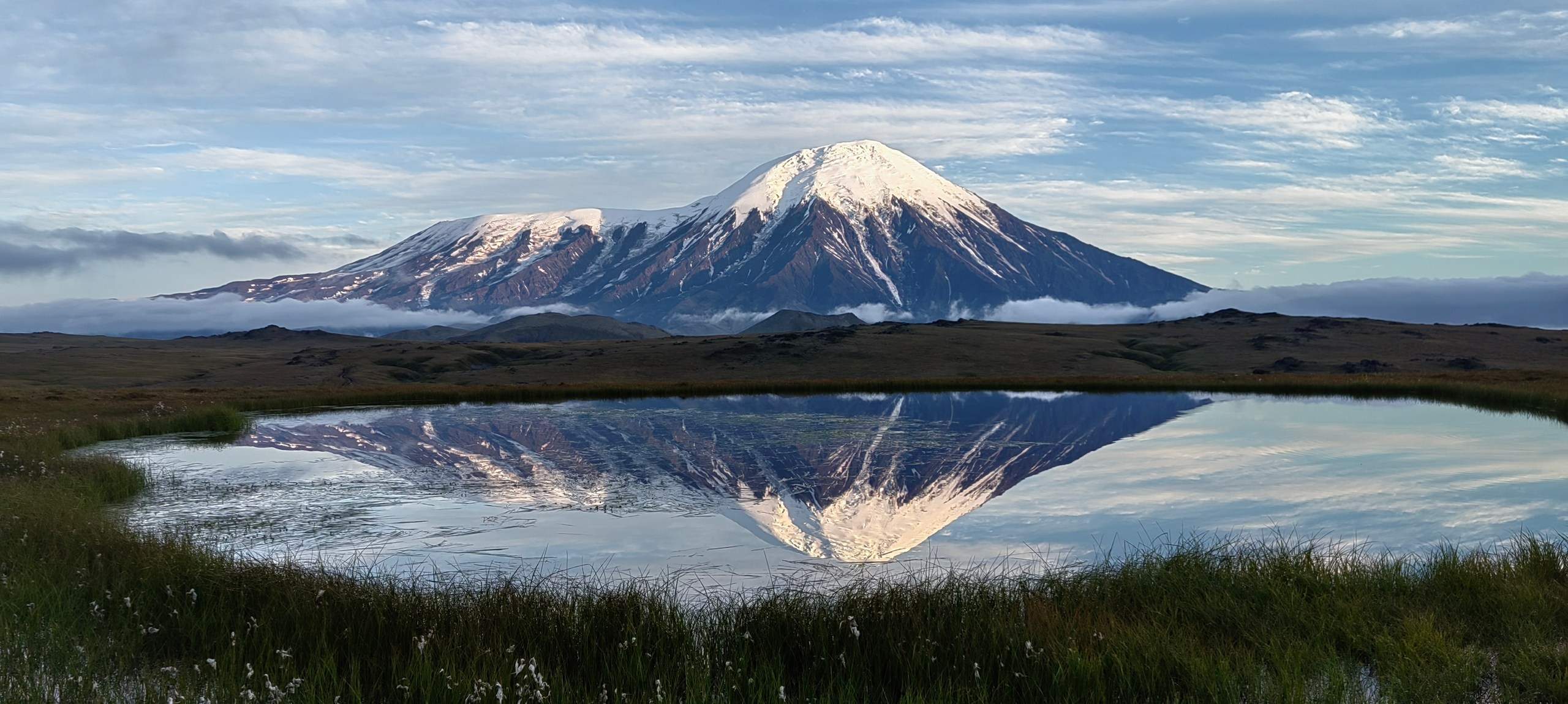 Begomvprofcom.wfolio.pro