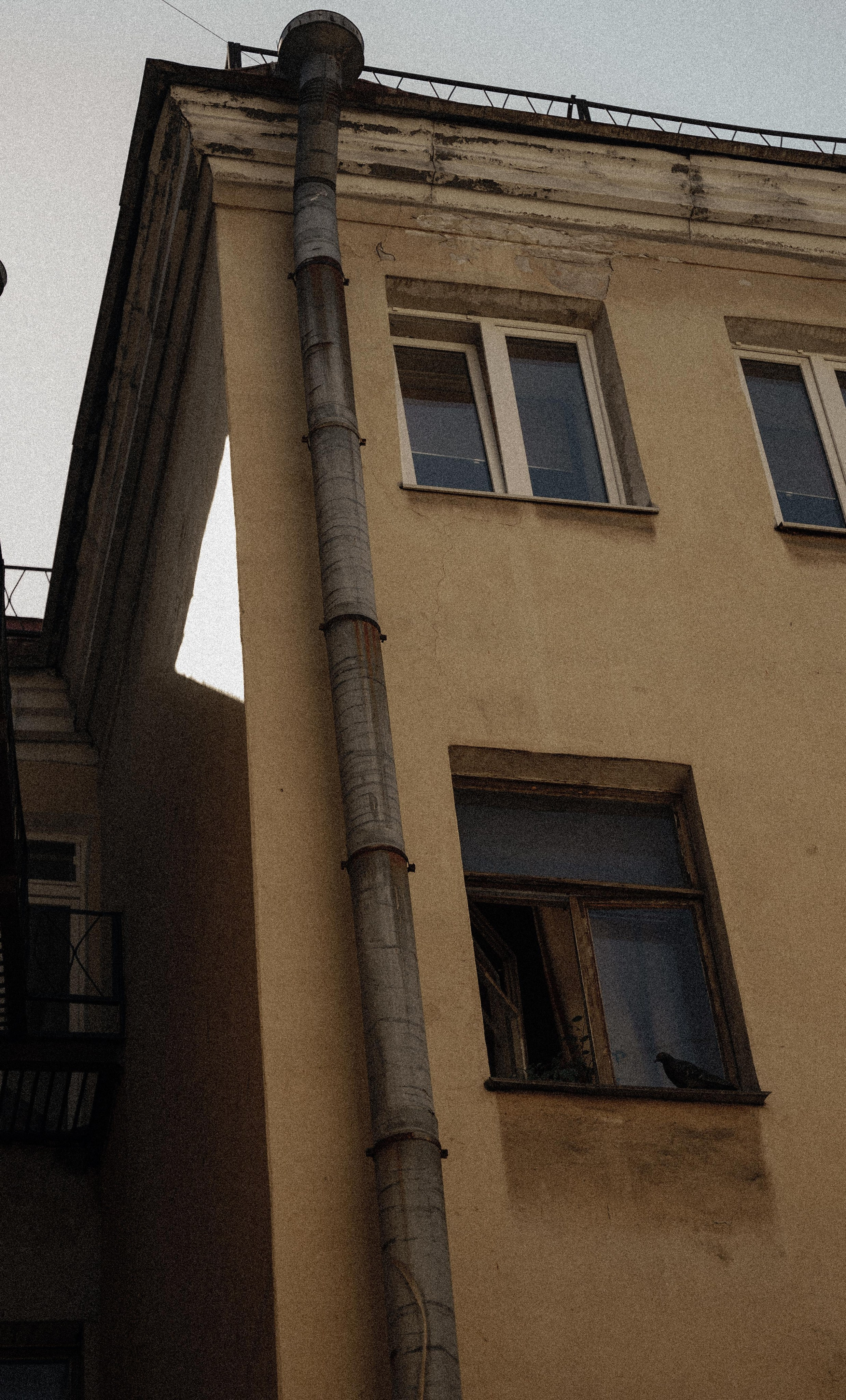 Art portfolio. AleSeeva