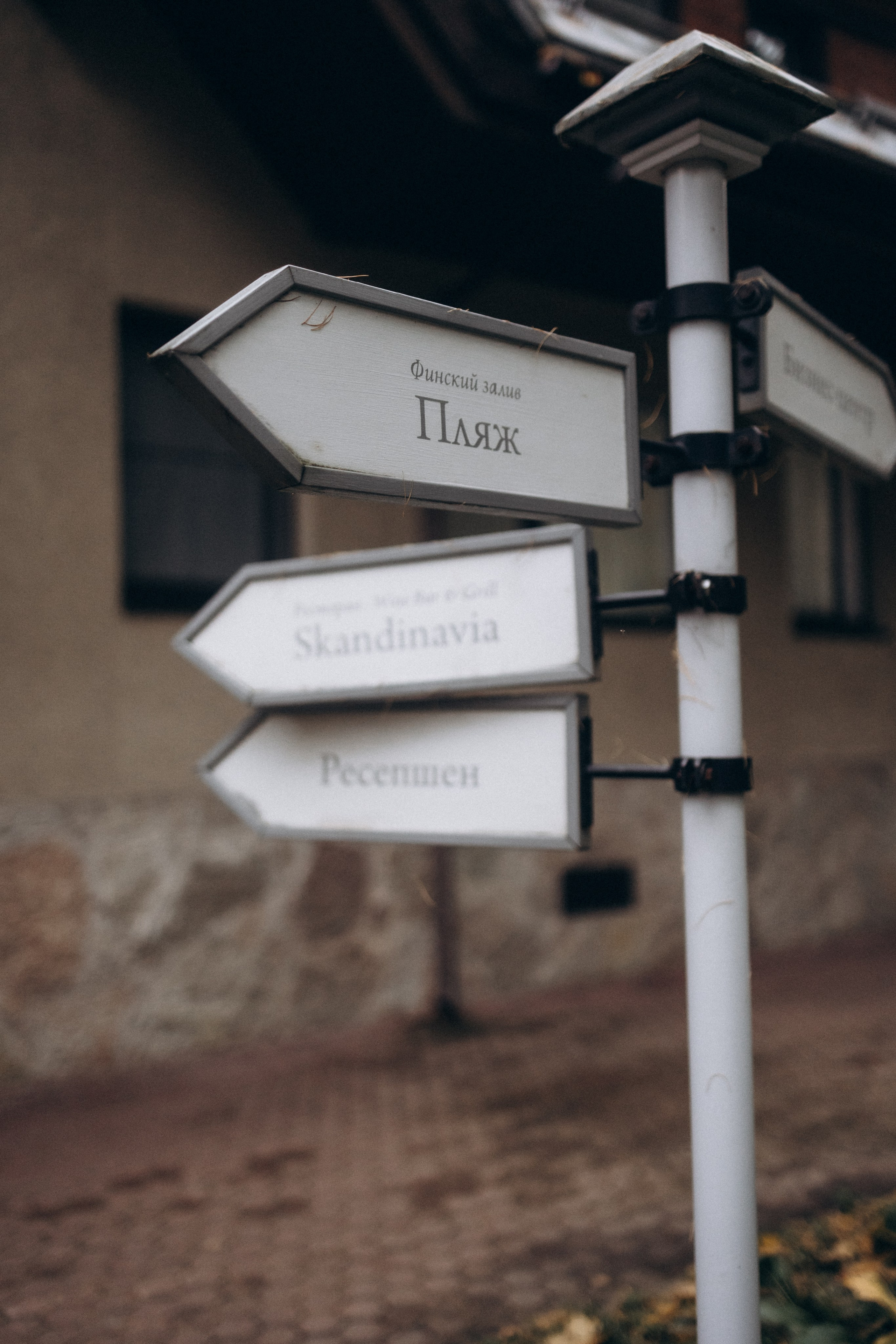 Олег и Алевтина. Фотограф Артем Бросов в Санкт-Петербурге и Дубае