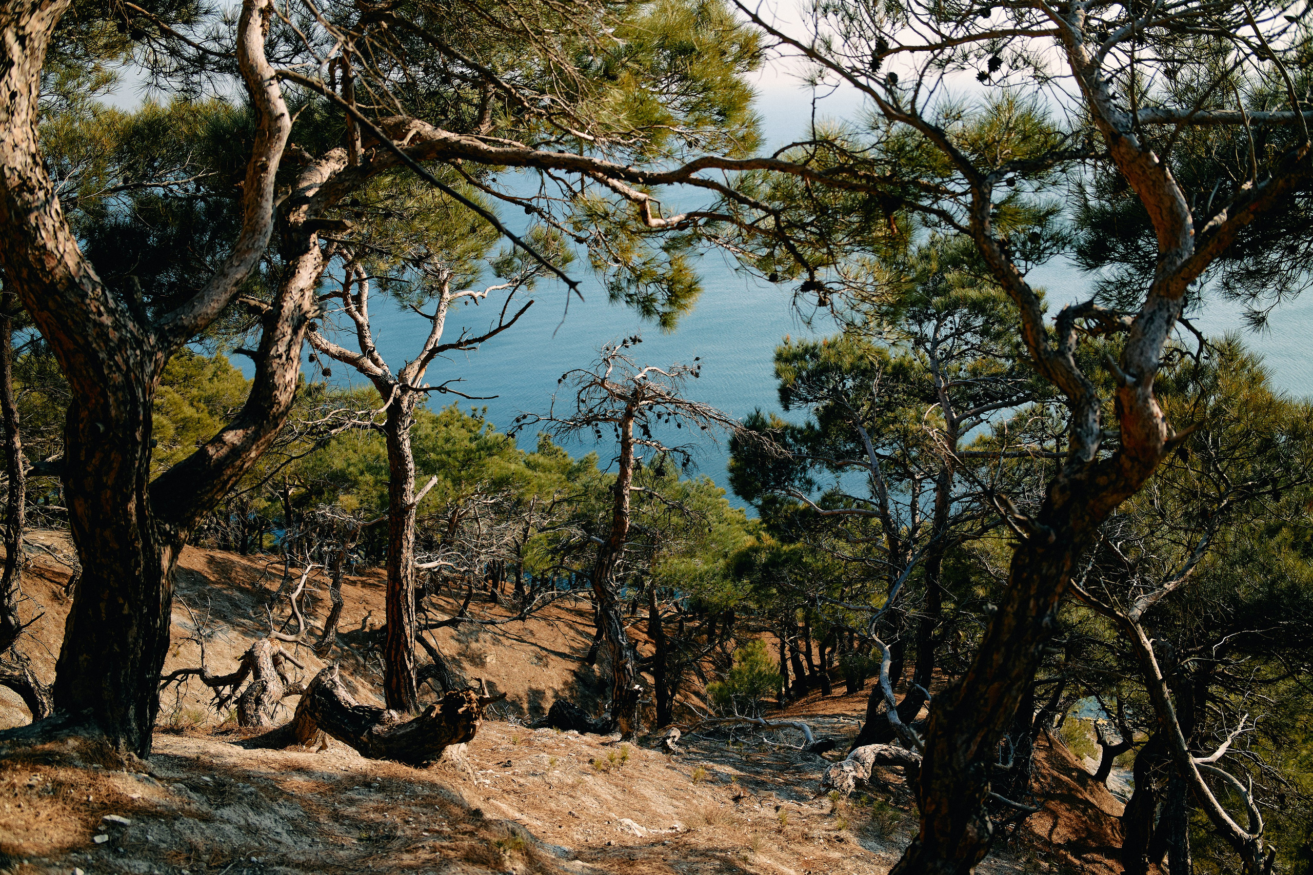 Юг России. Профессиональный Фотограф во Владимире, в Москве и в Суздале — Полина Романычева
