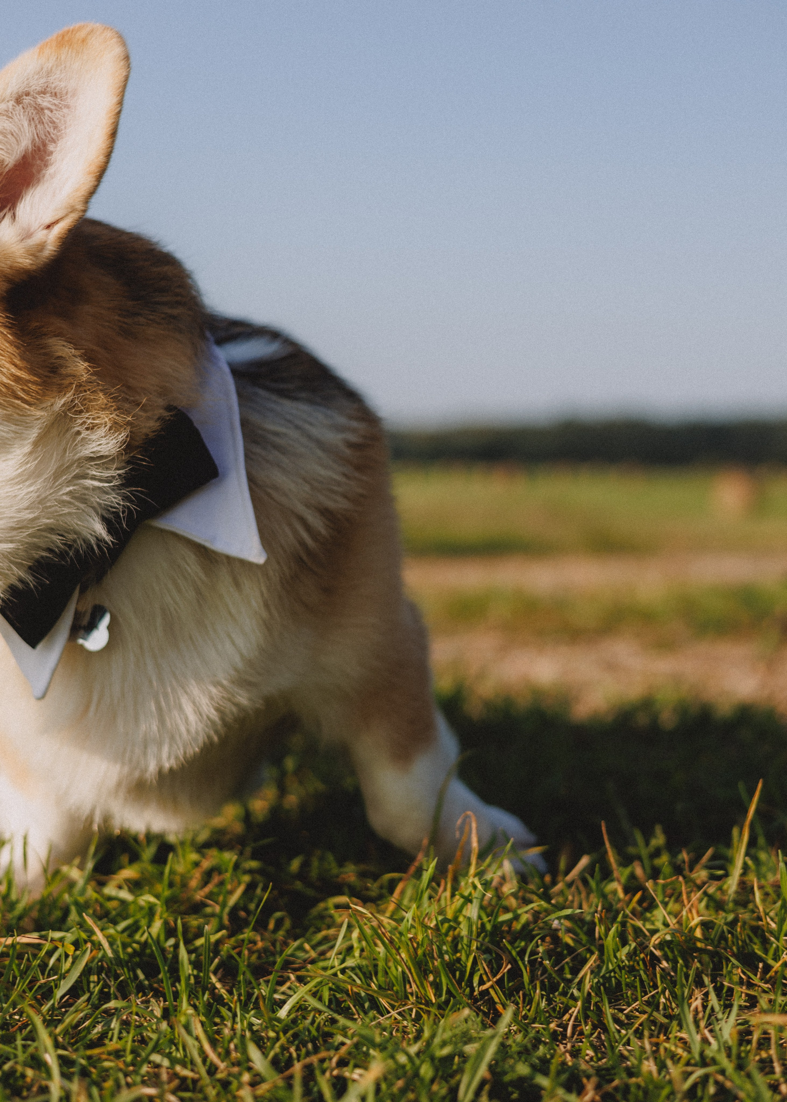 RUSSTYLE. Свадебный фотограф Владислав Адышкин