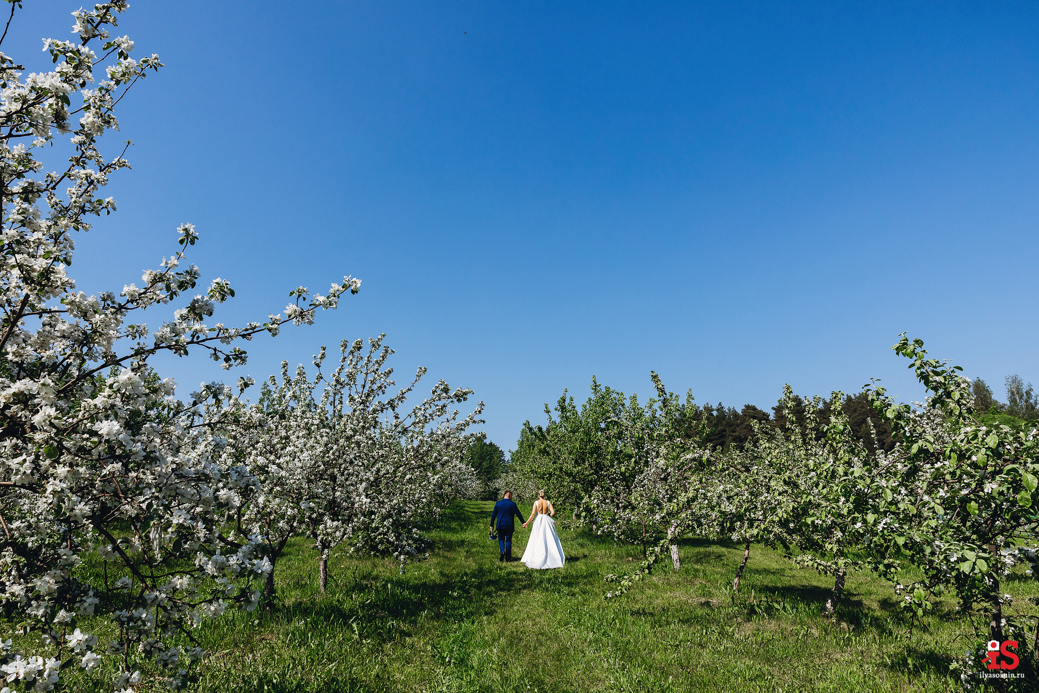 фотограф Птз, фото на свадьбу Петрозаводск, фотограф на свадьбу Петрозаводск, лучшие фотографы Петрозаводск Птз, свадебный фотограф Новороссийск, свадебный фотограф Сочи, фотограф на свадьбу Финляндия, свадебный фотограф Хельсинки, фотограф на свадьбу Спб, свадебный фотограф Питер