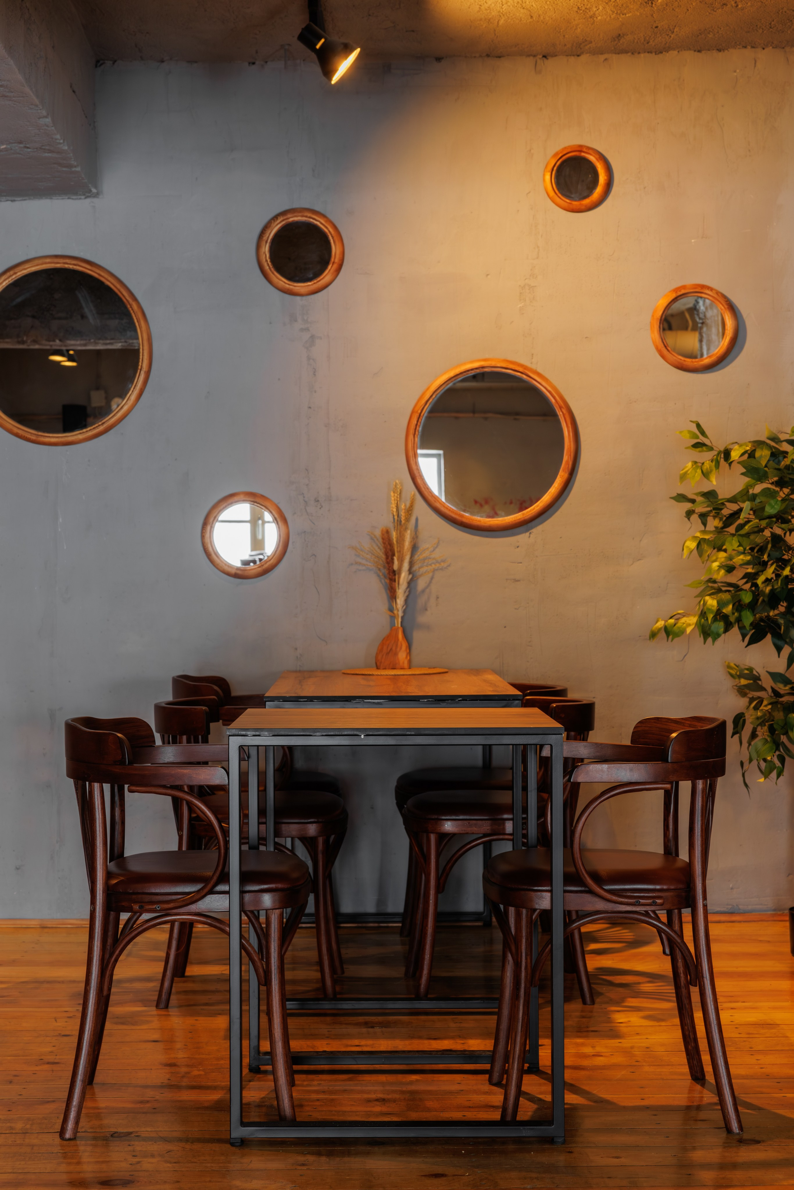 Ресторан «Карелла». Репортажный фотограф в Санкт-Петербурге Жолудев Владислав