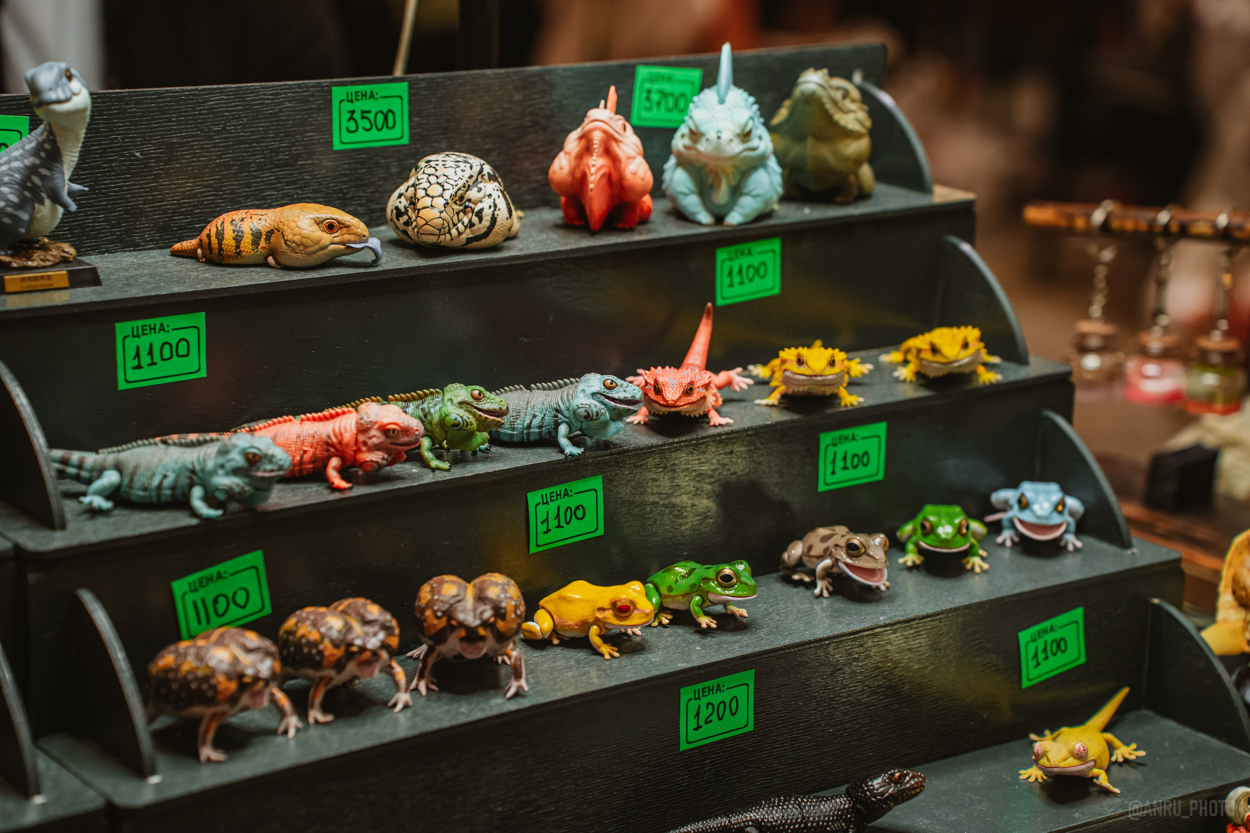 Рептилиум (ручная работа). Репортажный фотограф Анастасия Рубцова