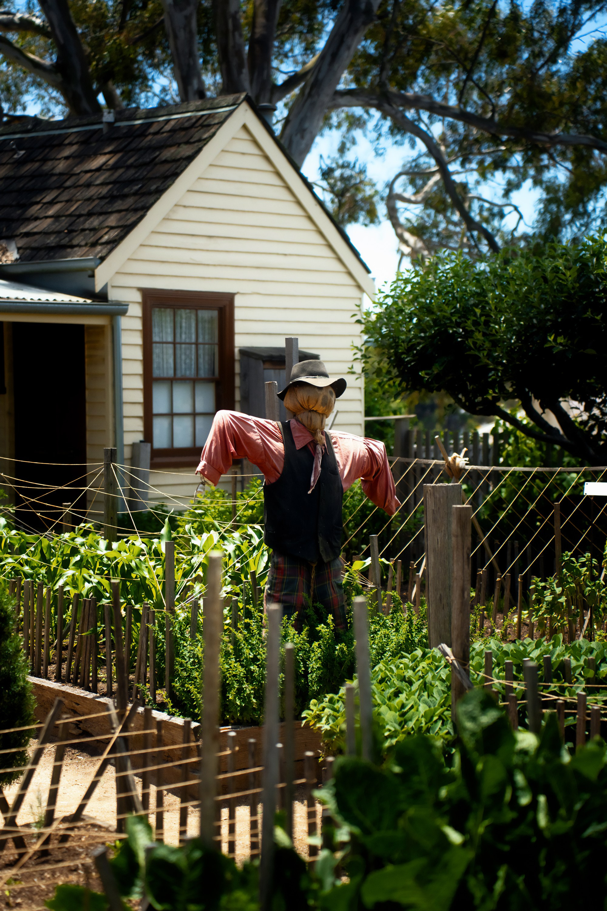 Австралия. Фотограф в Хабаровске. Фотография за 24 часа