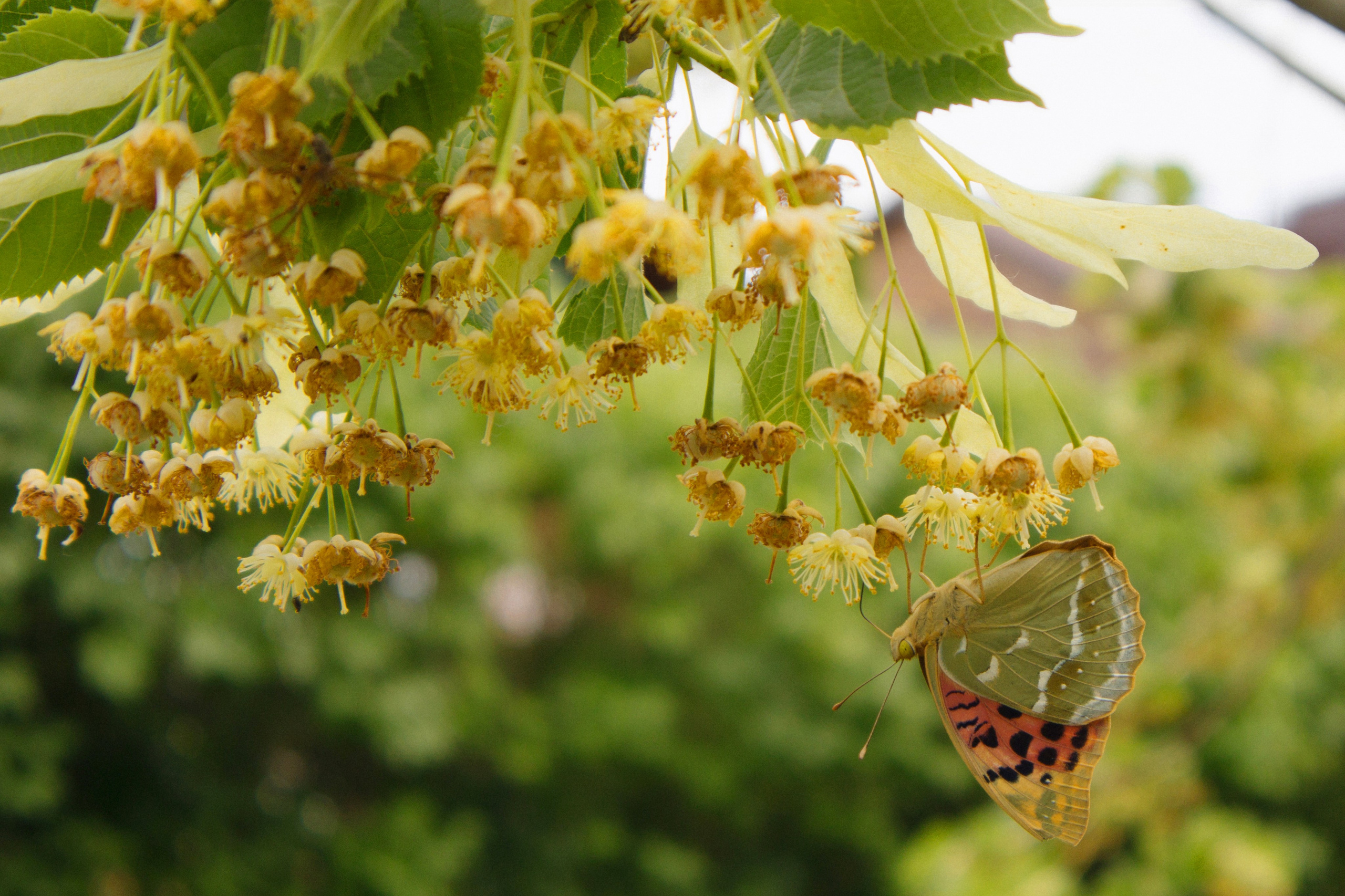 A ❤ K. Syrovatkina_Photographer.ru