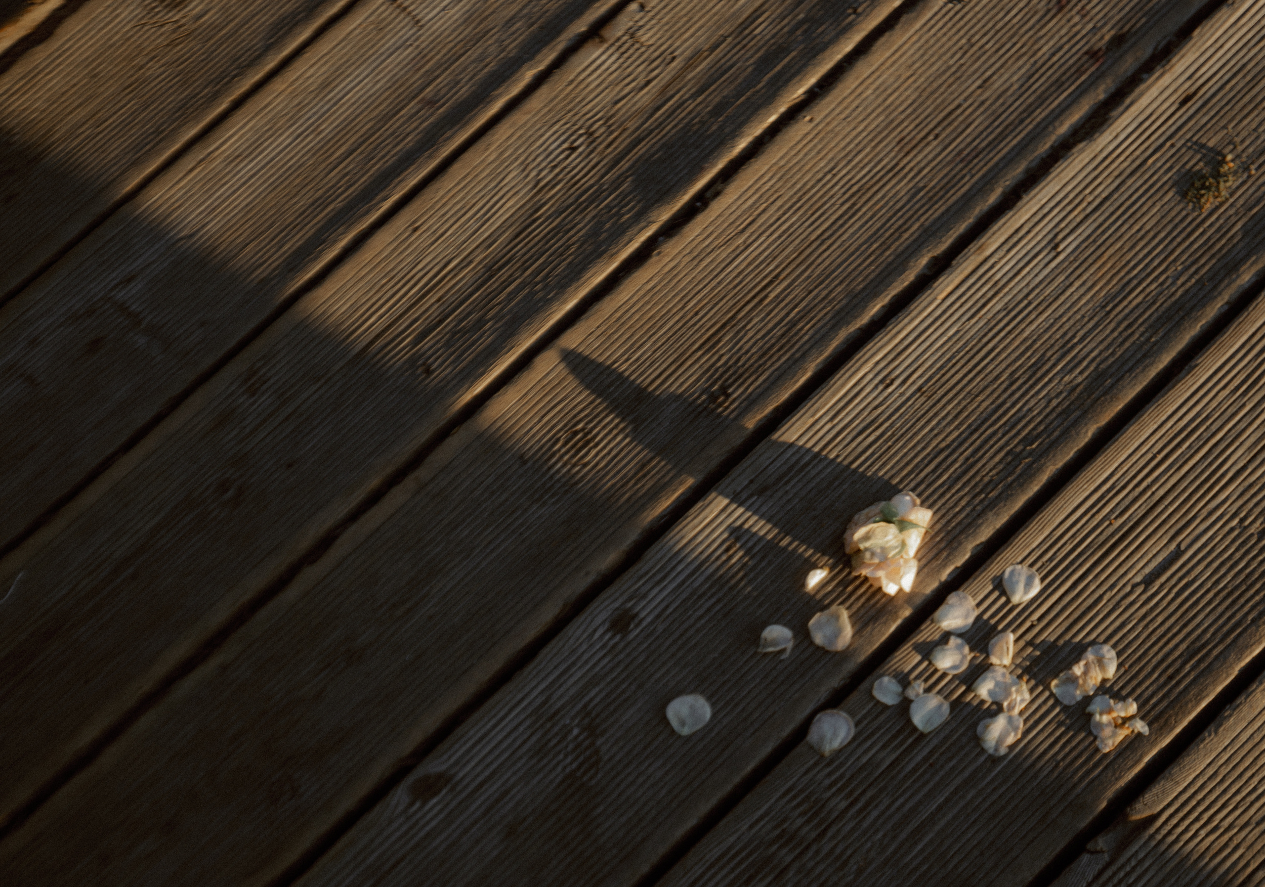 Будь со мной. Свадебный фотограф Таня Караисаева