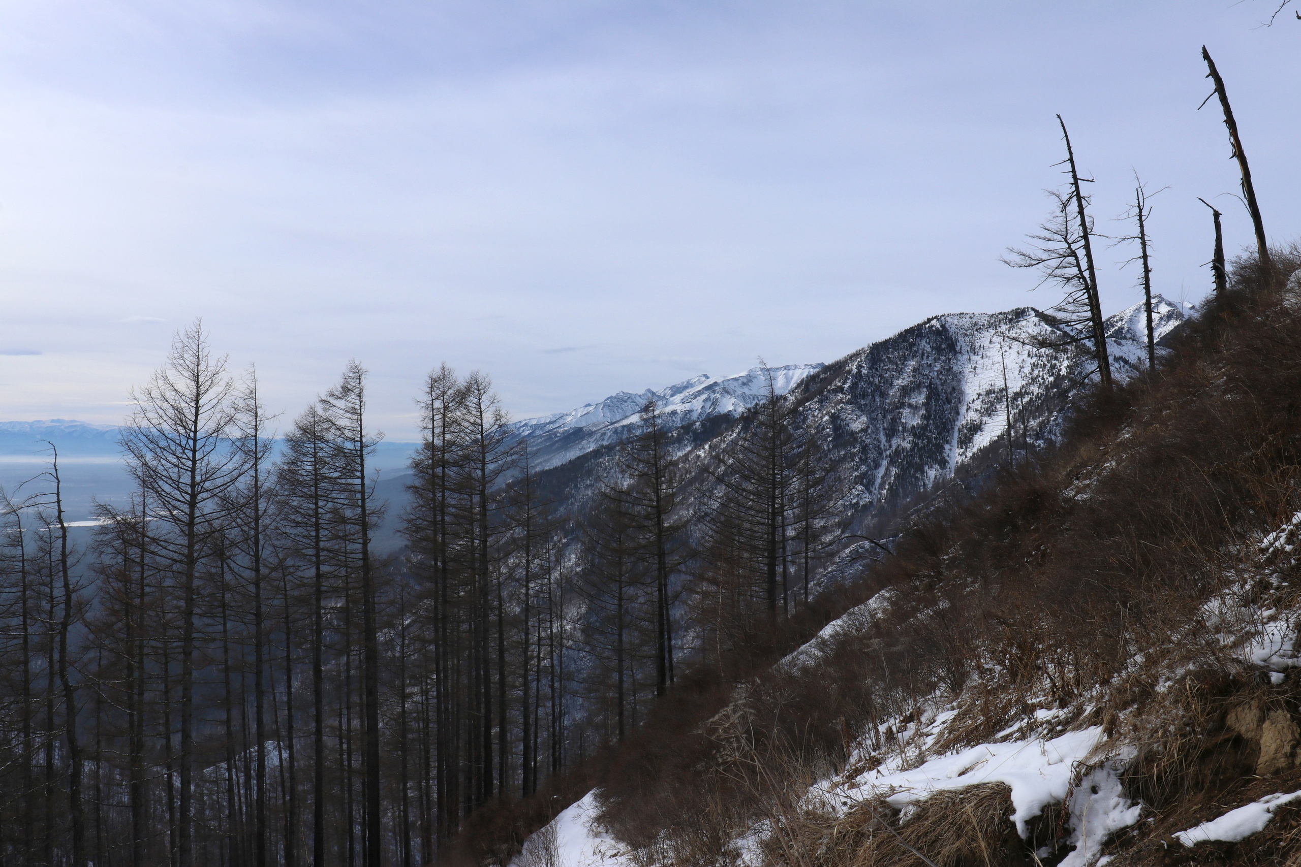 Аршан. Февраль 2025. Путешественник-фотограф из Санкт-Петербурга Татьяна Свистулина