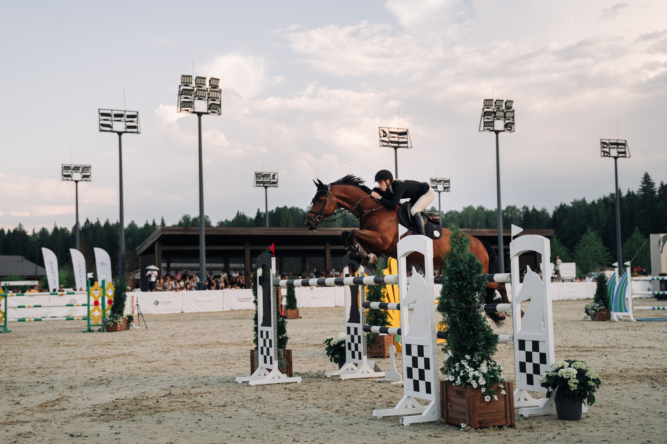 EMERALD STABLES CUP 2024. Свадебный и семейный фотограф в Москве и МО Геннадий Туманцев