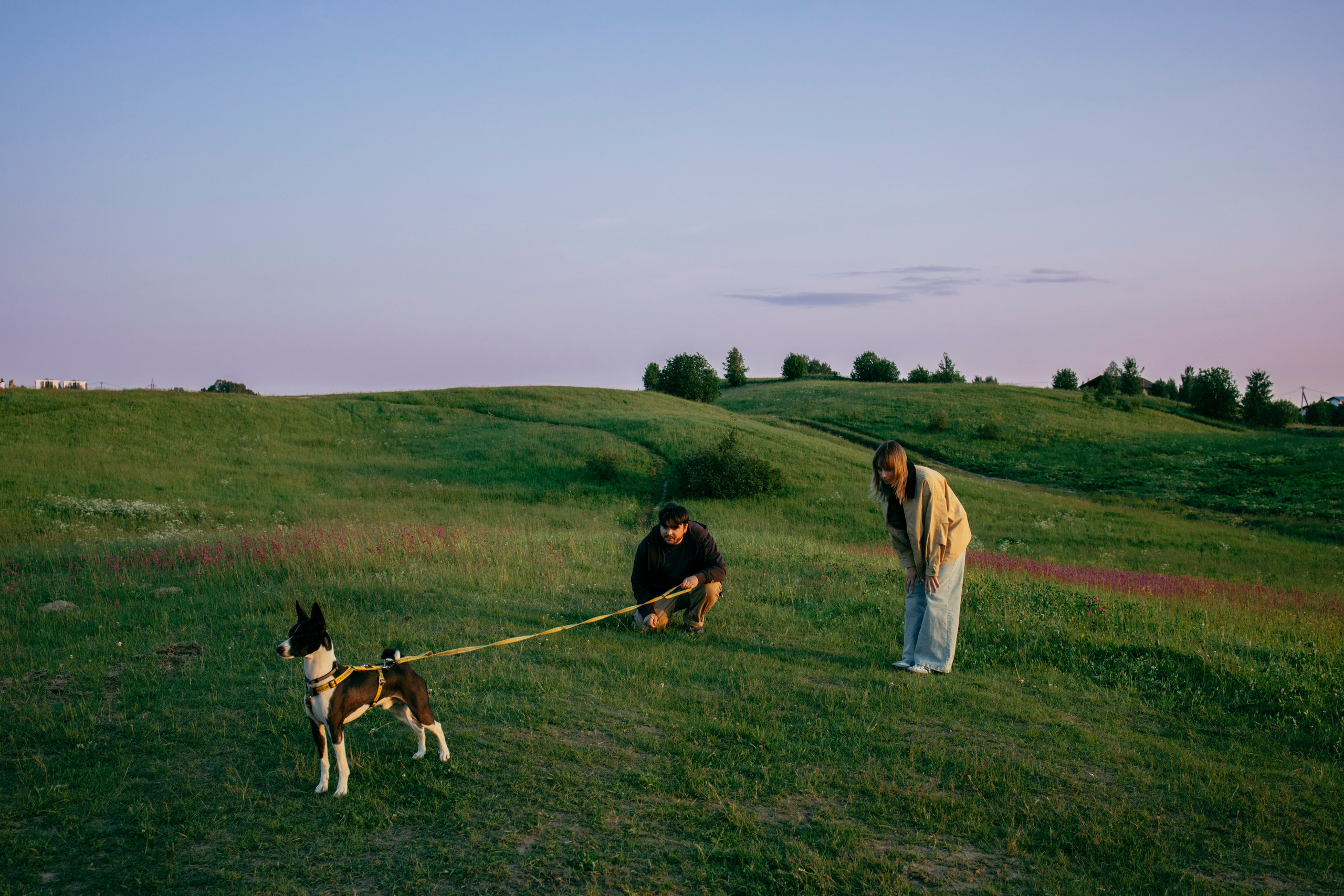 Итачи и его семья 🐾. Фотограф-анималист в Санкт-Петеребурге Титова Алиса