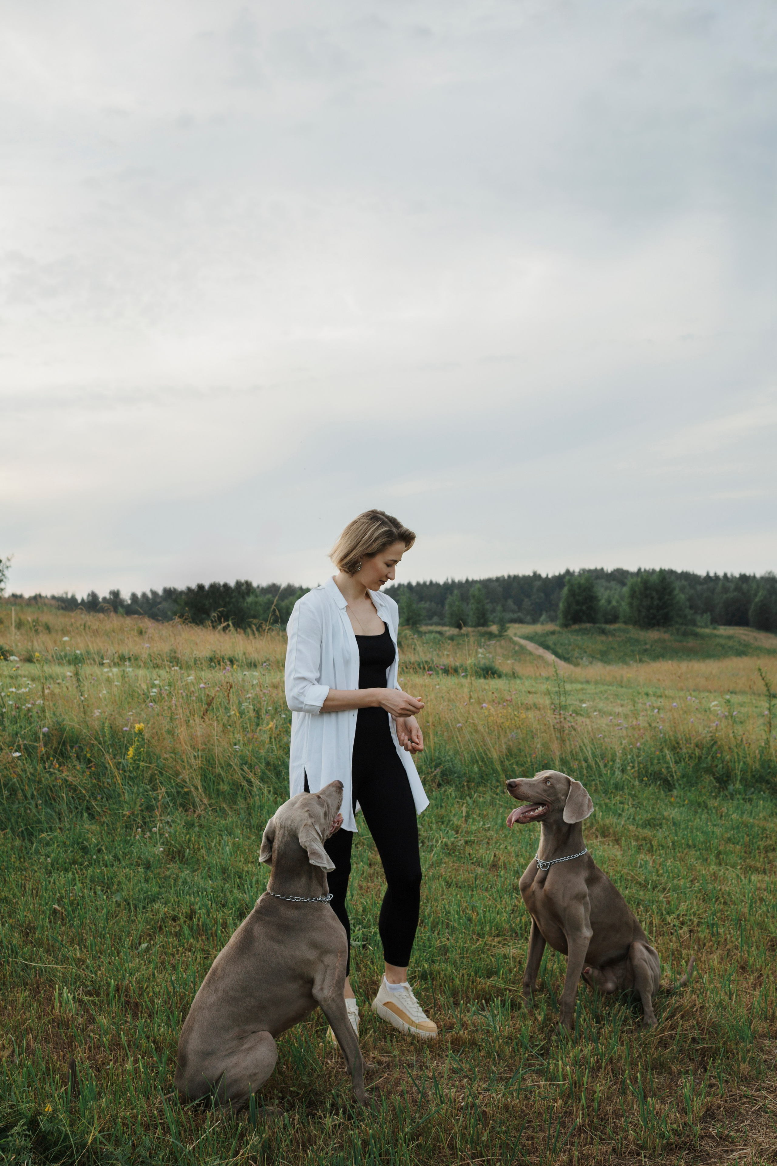 Маргарита и веймаранеры. Фотограф-анималист в Санкт-Петеребурге Титова Алиса