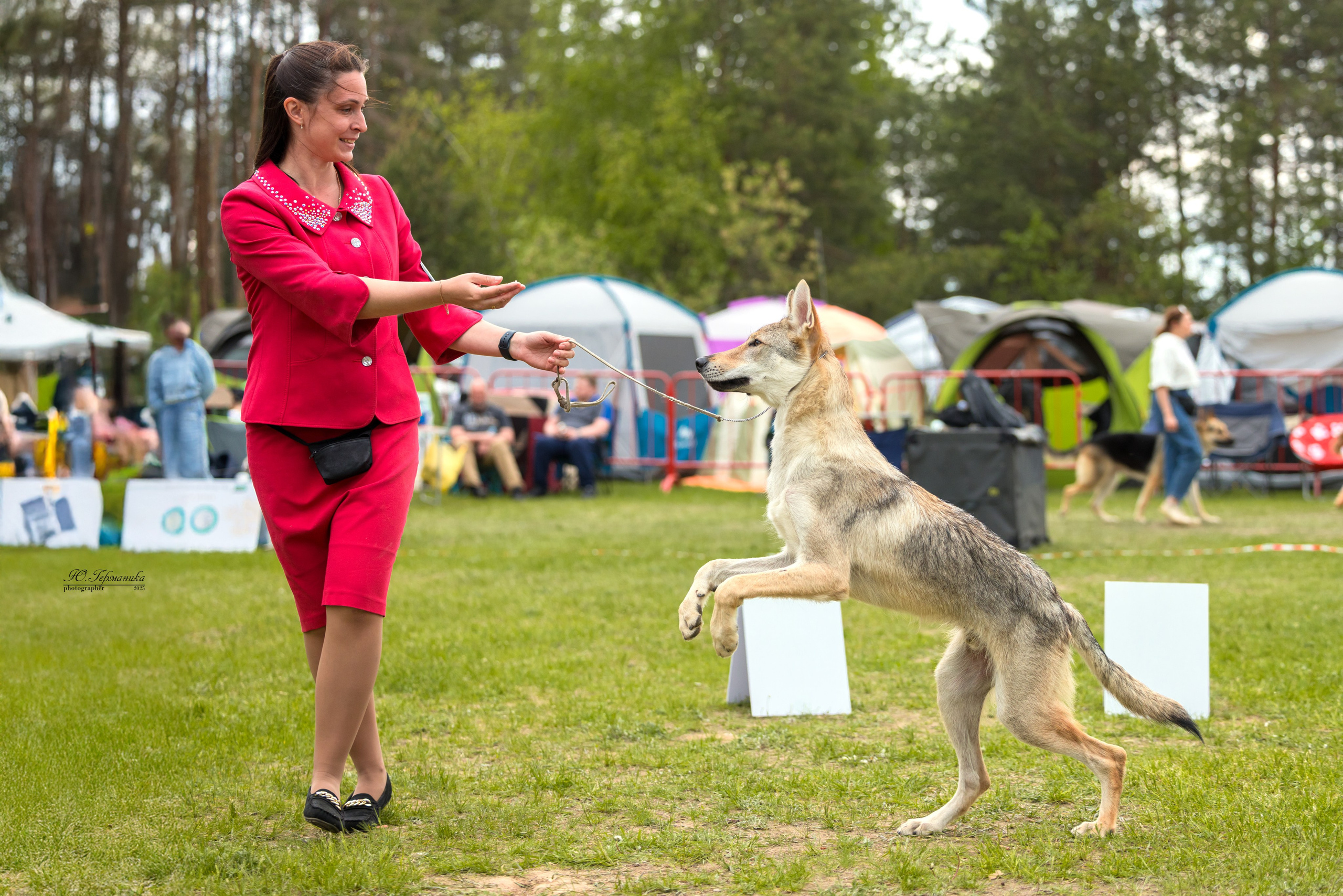 Суздаль(Владимир)17-18.05.2025. Фотограф-анималист Юлия Германика