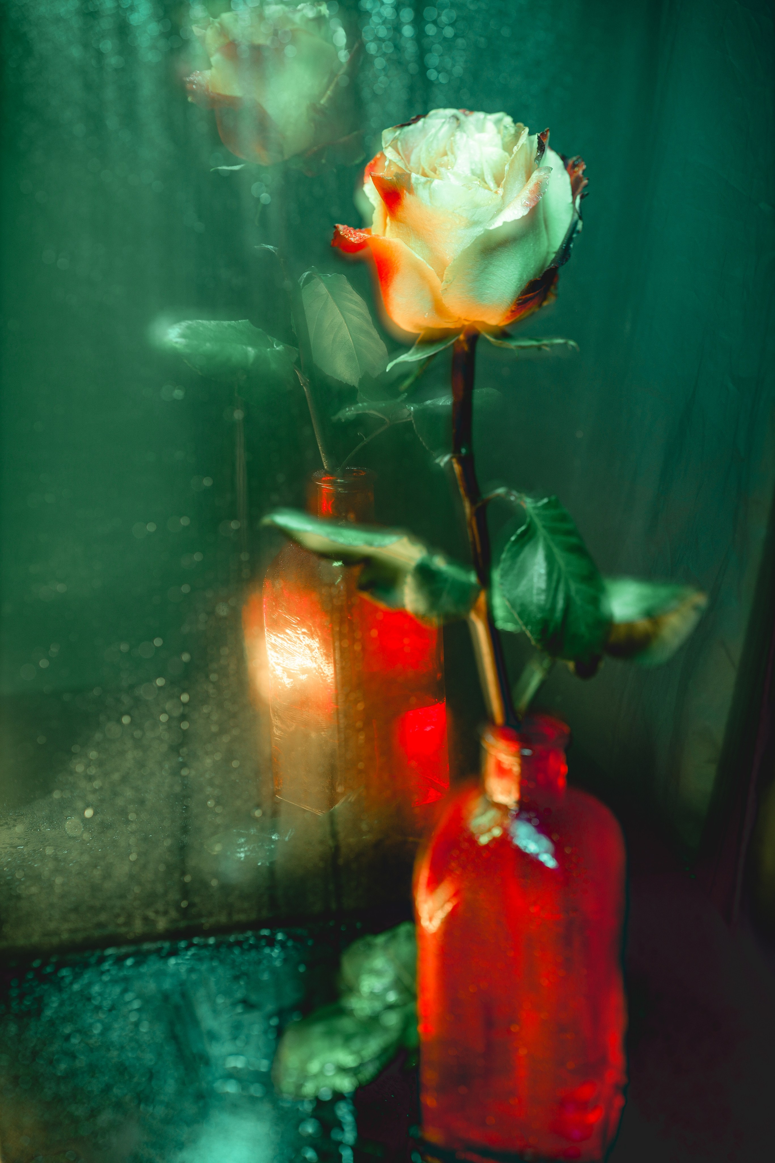 Природа &. Фотохудожник в СПб