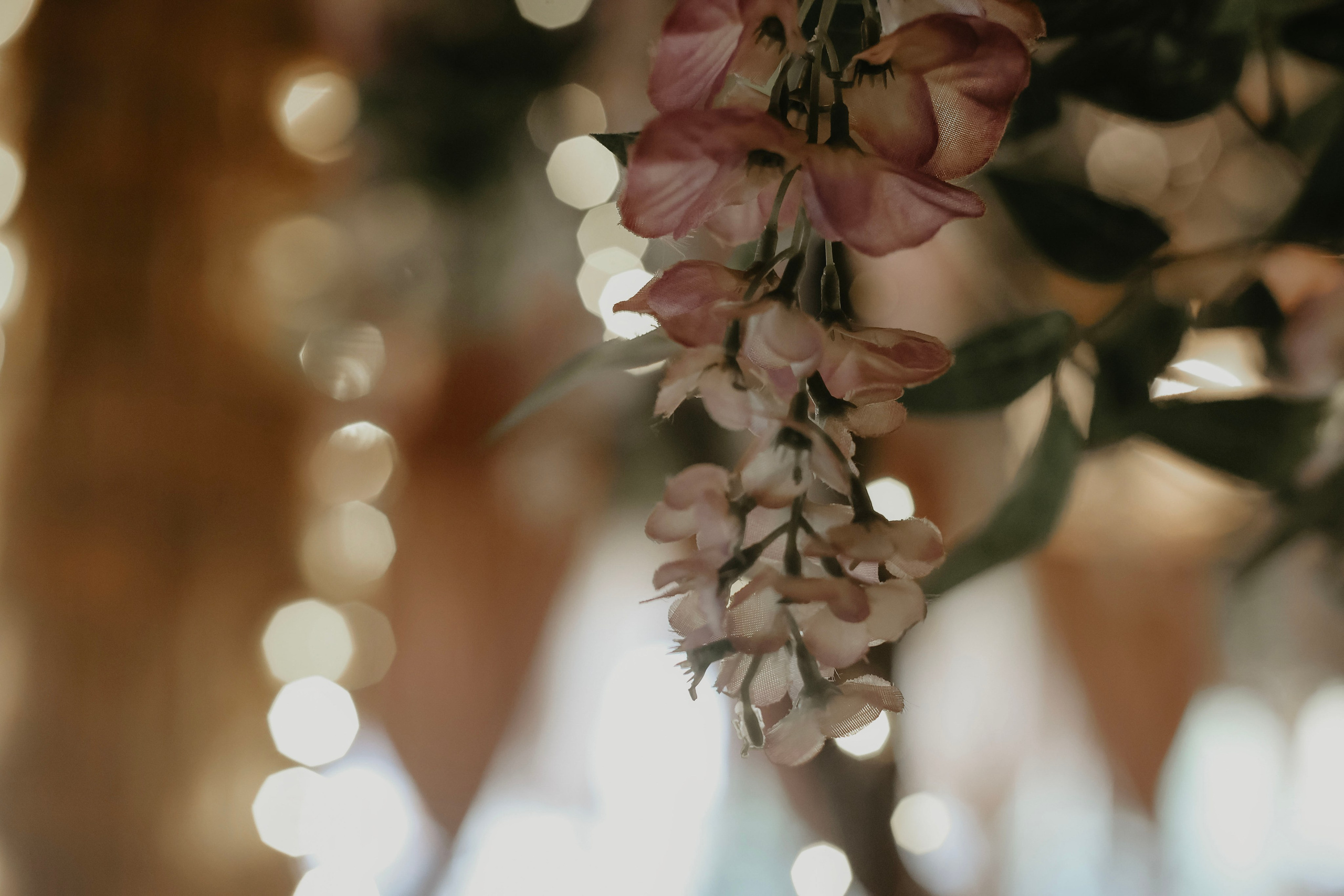 Юбилей Радомира. Фотограф в Москве и любой точке земного шара Алёна Вялова (Чулкова)