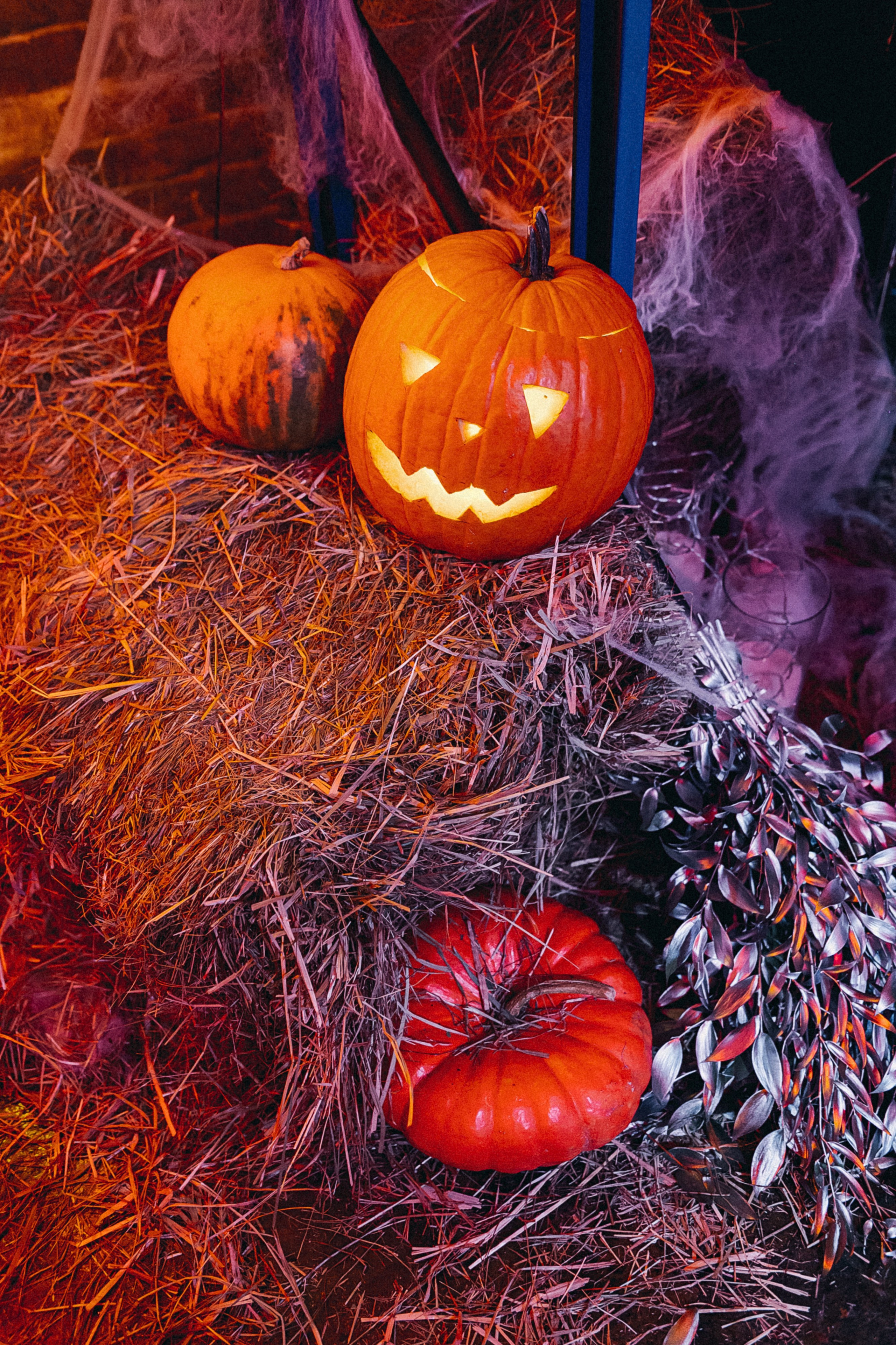 Halloween Party. Свадебный фотограф Роман Чигарев