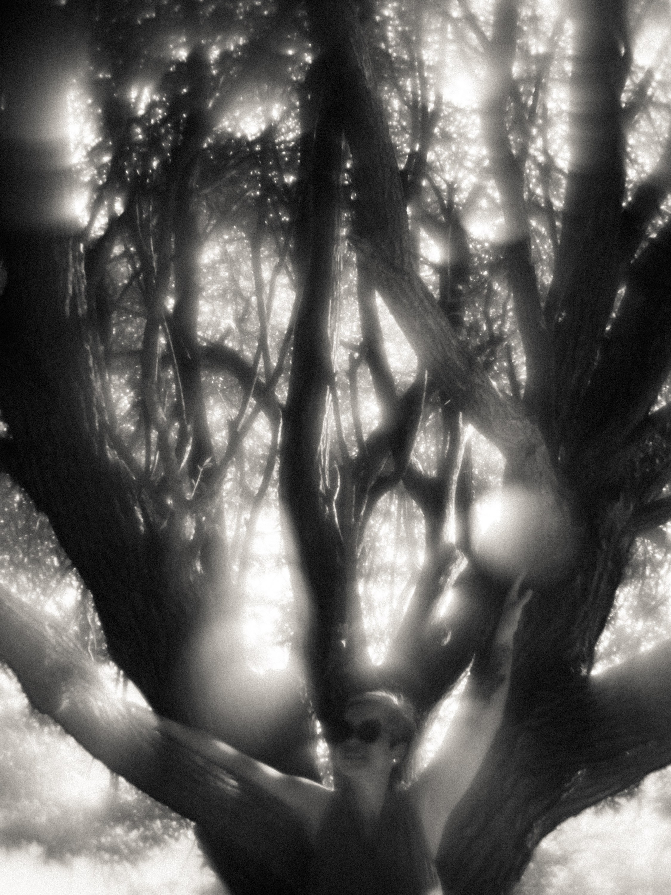 Сияние (Оля). Андрей Иванов. фотографические практики