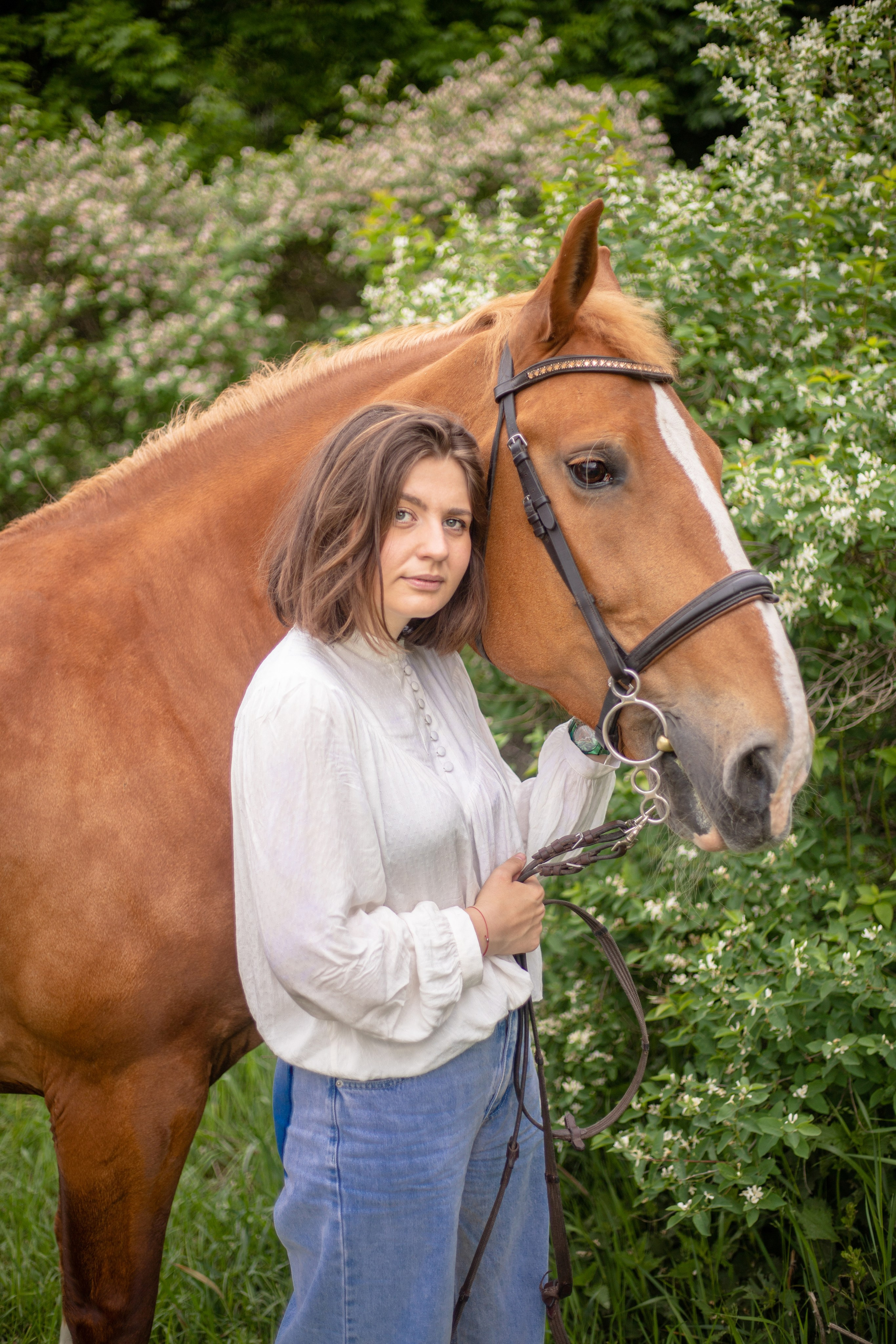 Фотосессии с лошадьми. Фотосессии с лошадьми в Москве и МО