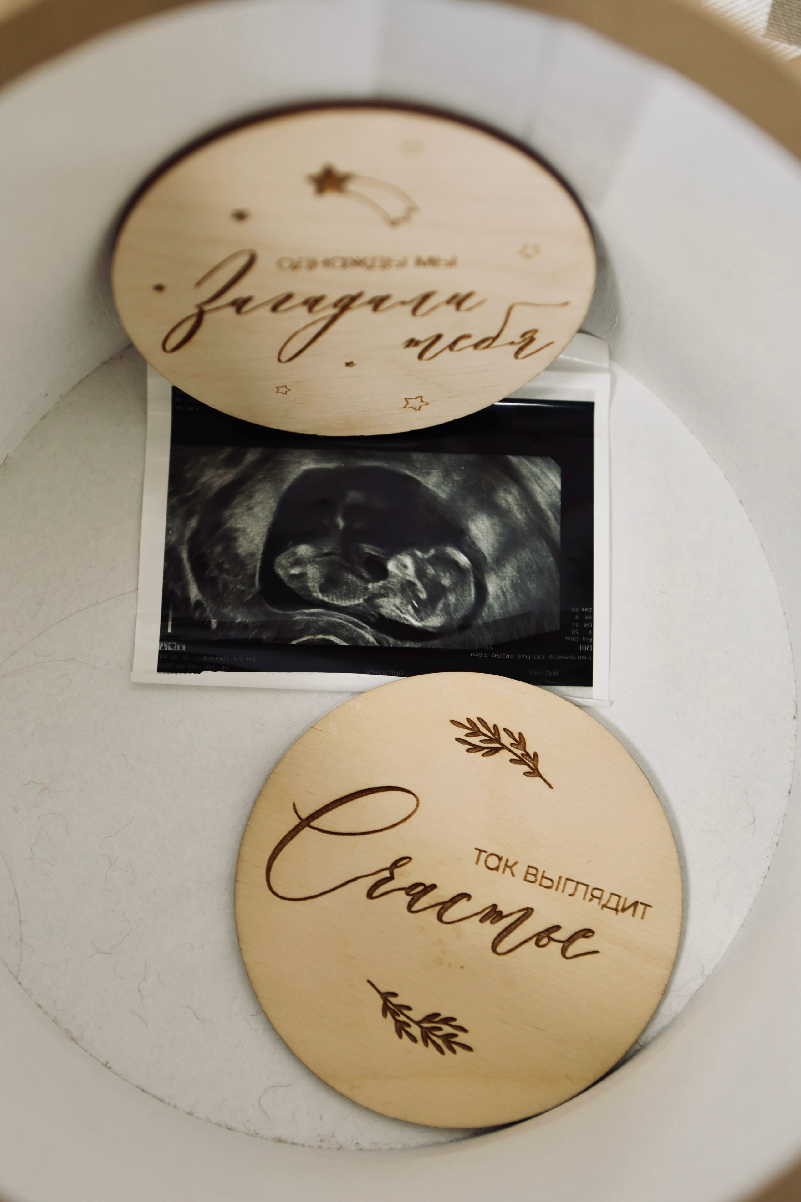 Елизавета. Фотограф в Курске Смирнов Евгений