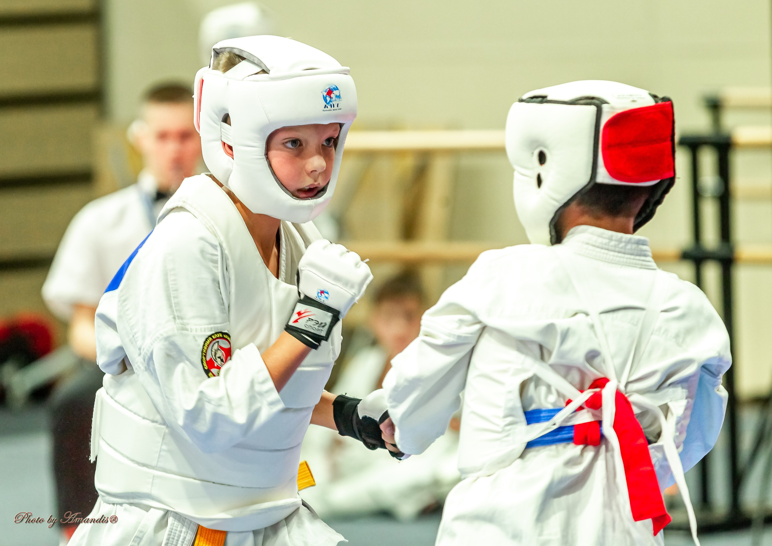 Первенство Московской области по Киокушин в СК «Жаворонки». Репортажная съемка в Москве и области. Анималистика