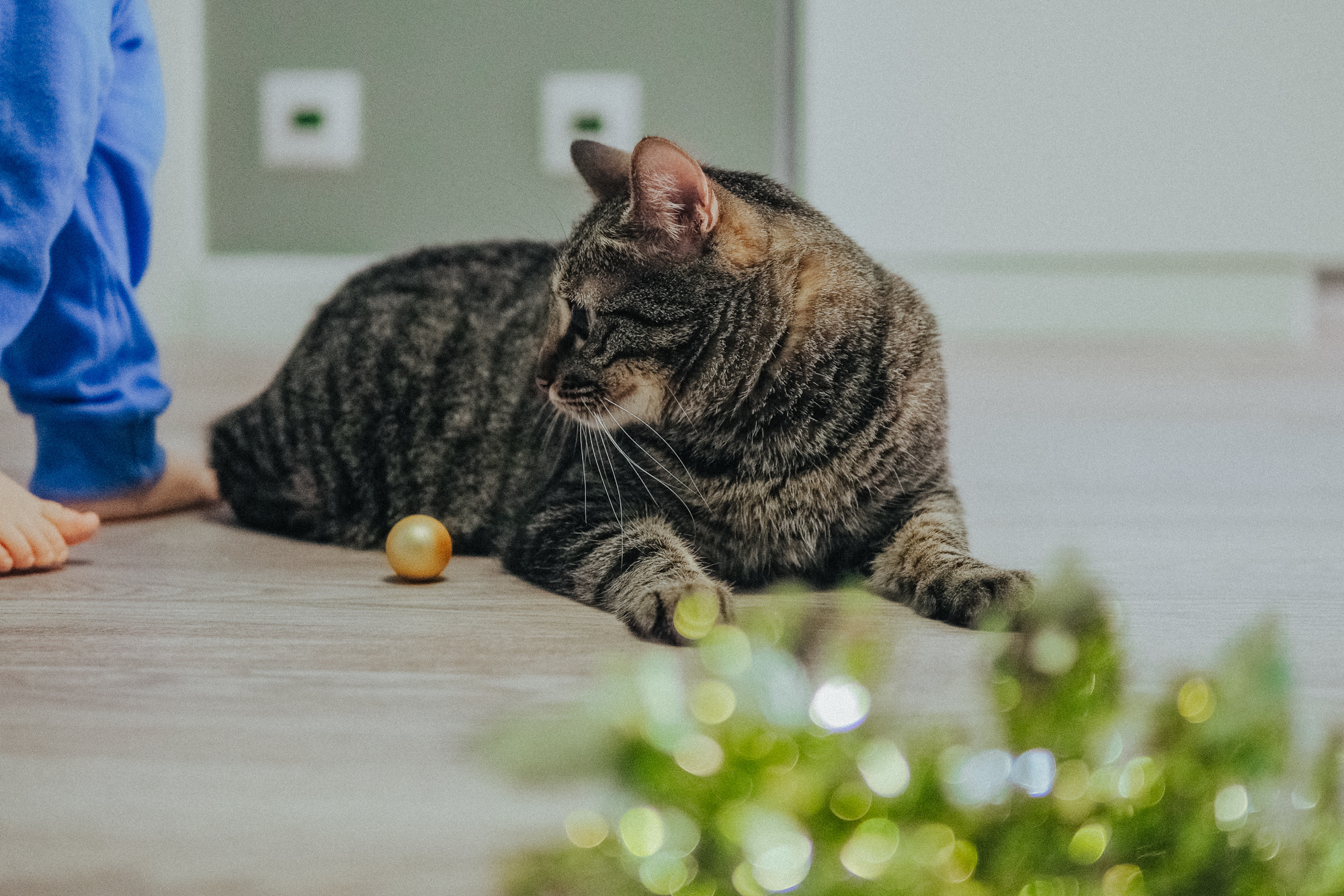 Анапа фотосессия Анапа фотостудия Фотограф анапа. Семейный, детский, свадебный, фотограф в городе Анапа