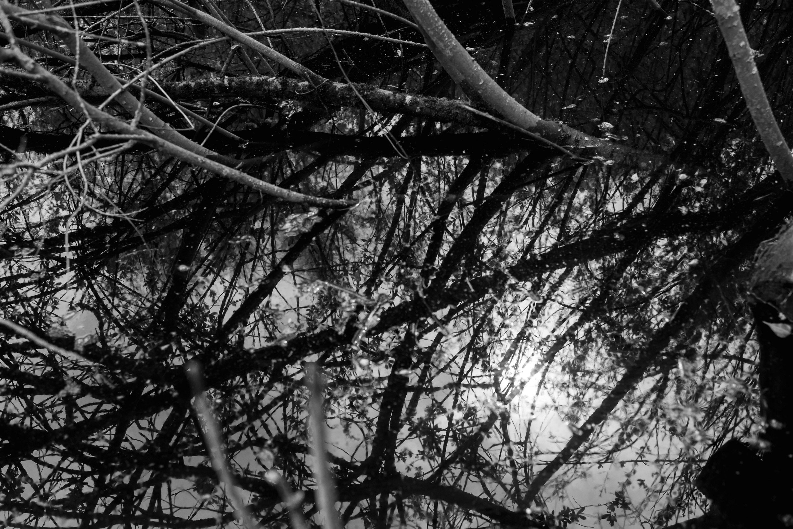 Непривычная фотография. Репортажный и портретный фотограф в Москве Саханцева Анна