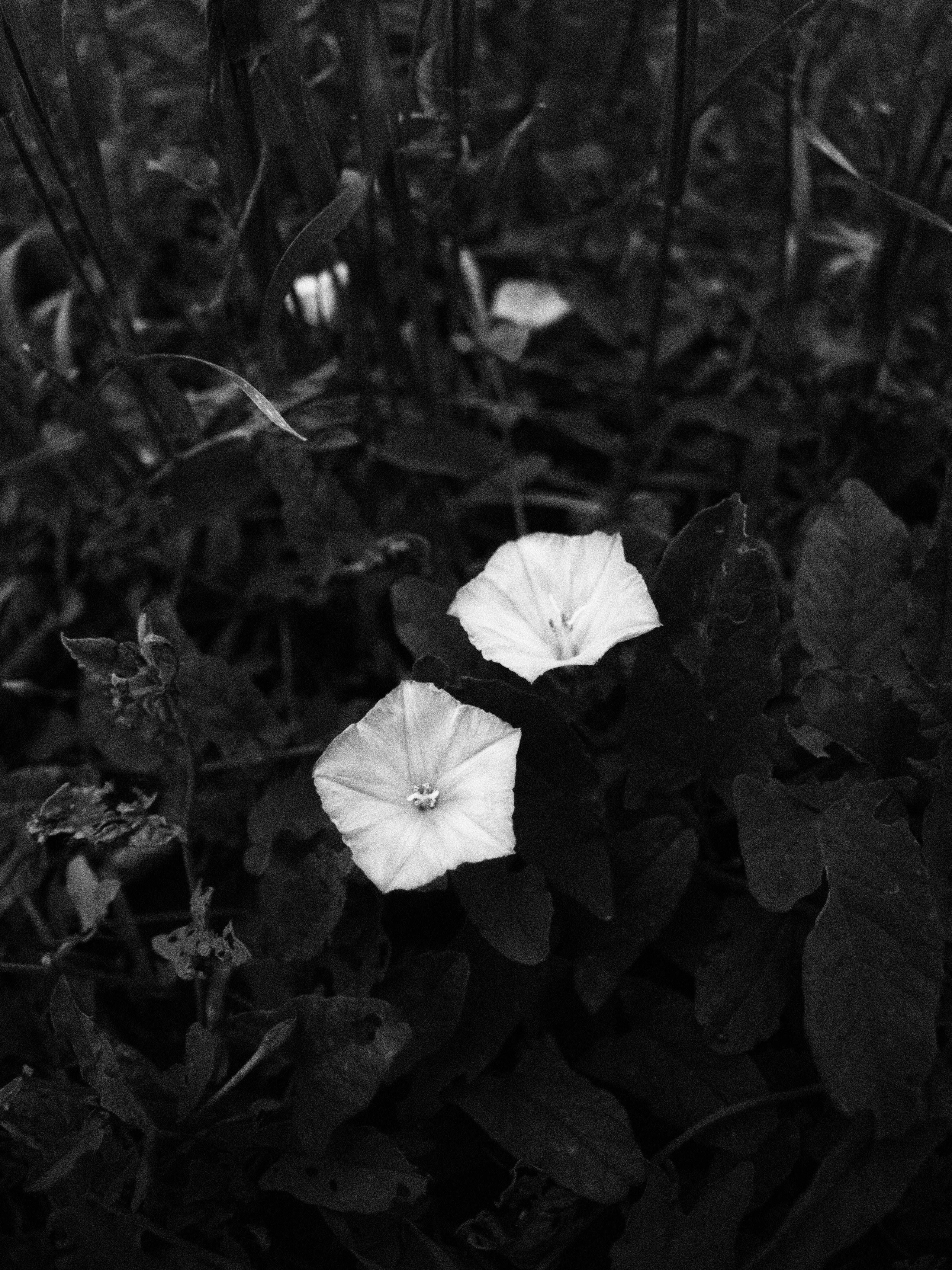 Промежуточные моменты (2023)