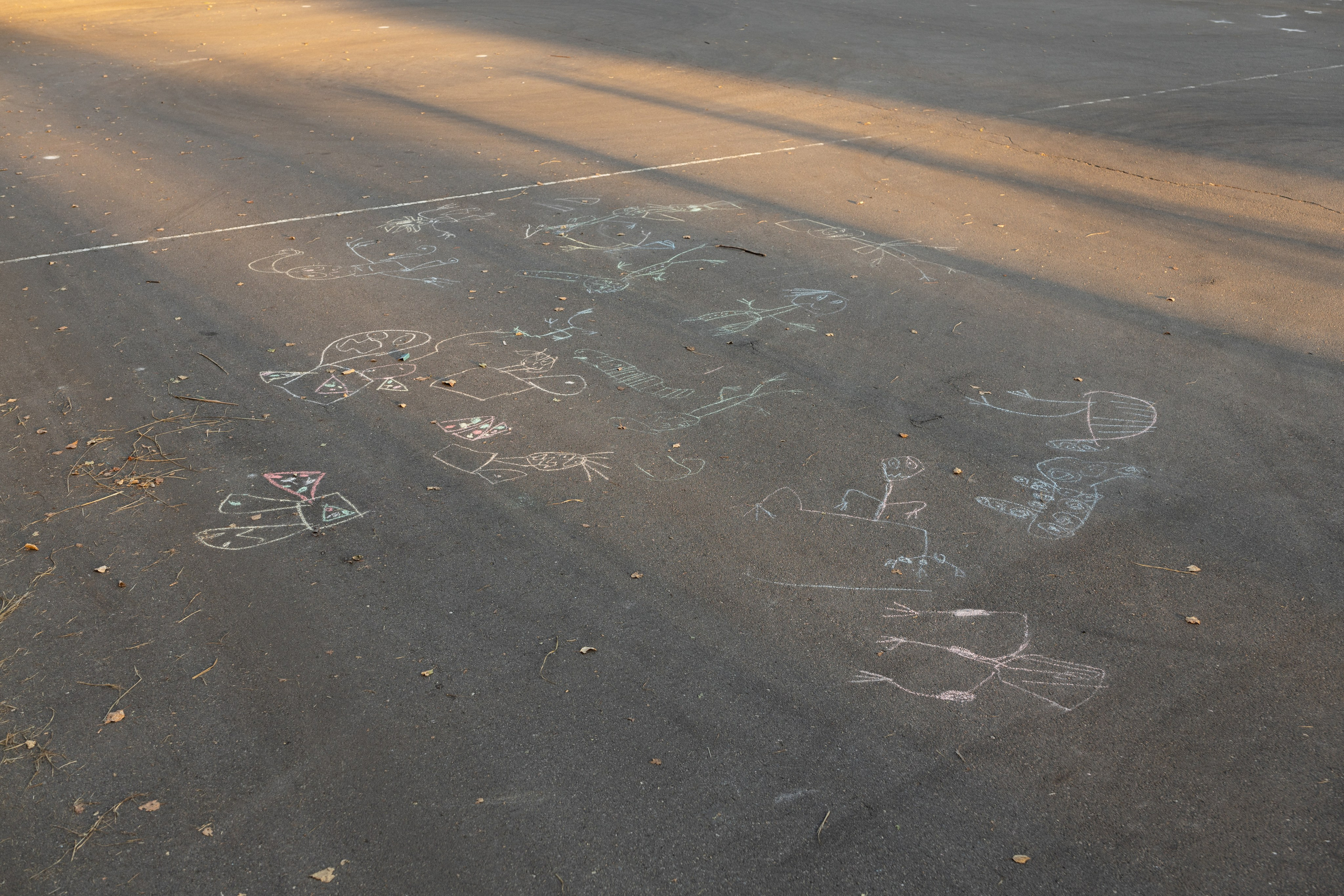 Около меня. Documentary photographer Anton Zdanovich