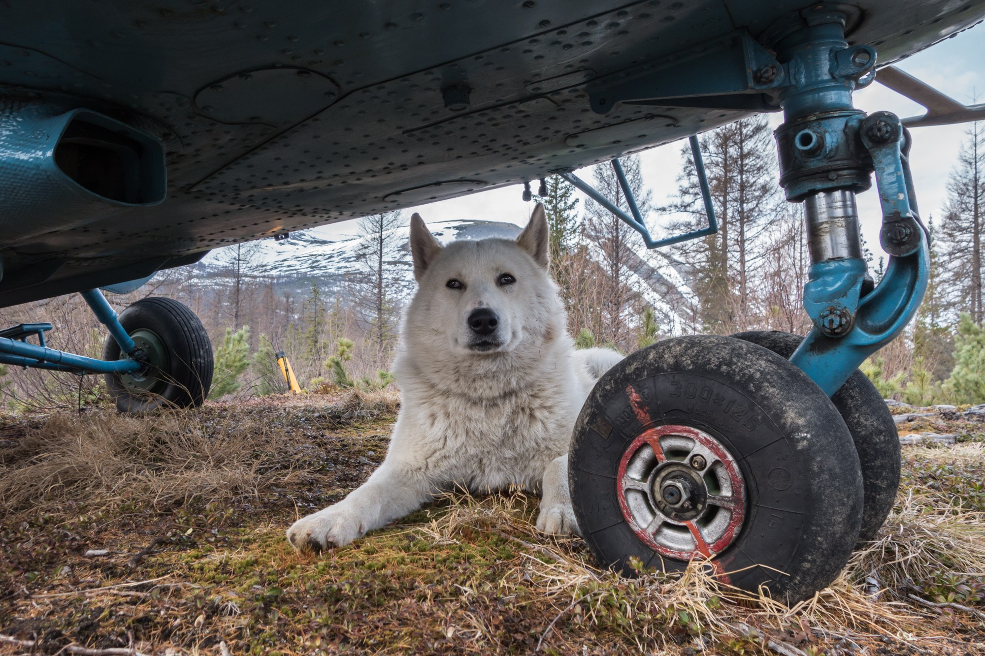 Якутия. Фотограф Алексей Скоробогатько