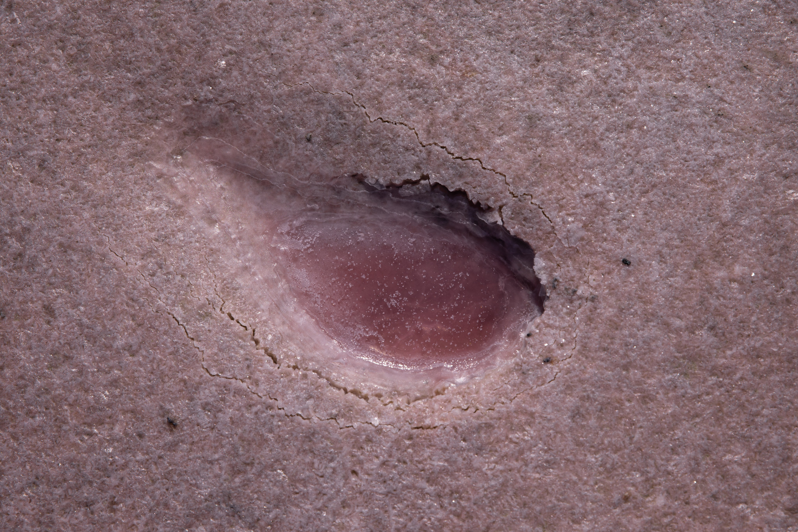 Планета. Фотограф FOTOBANKA