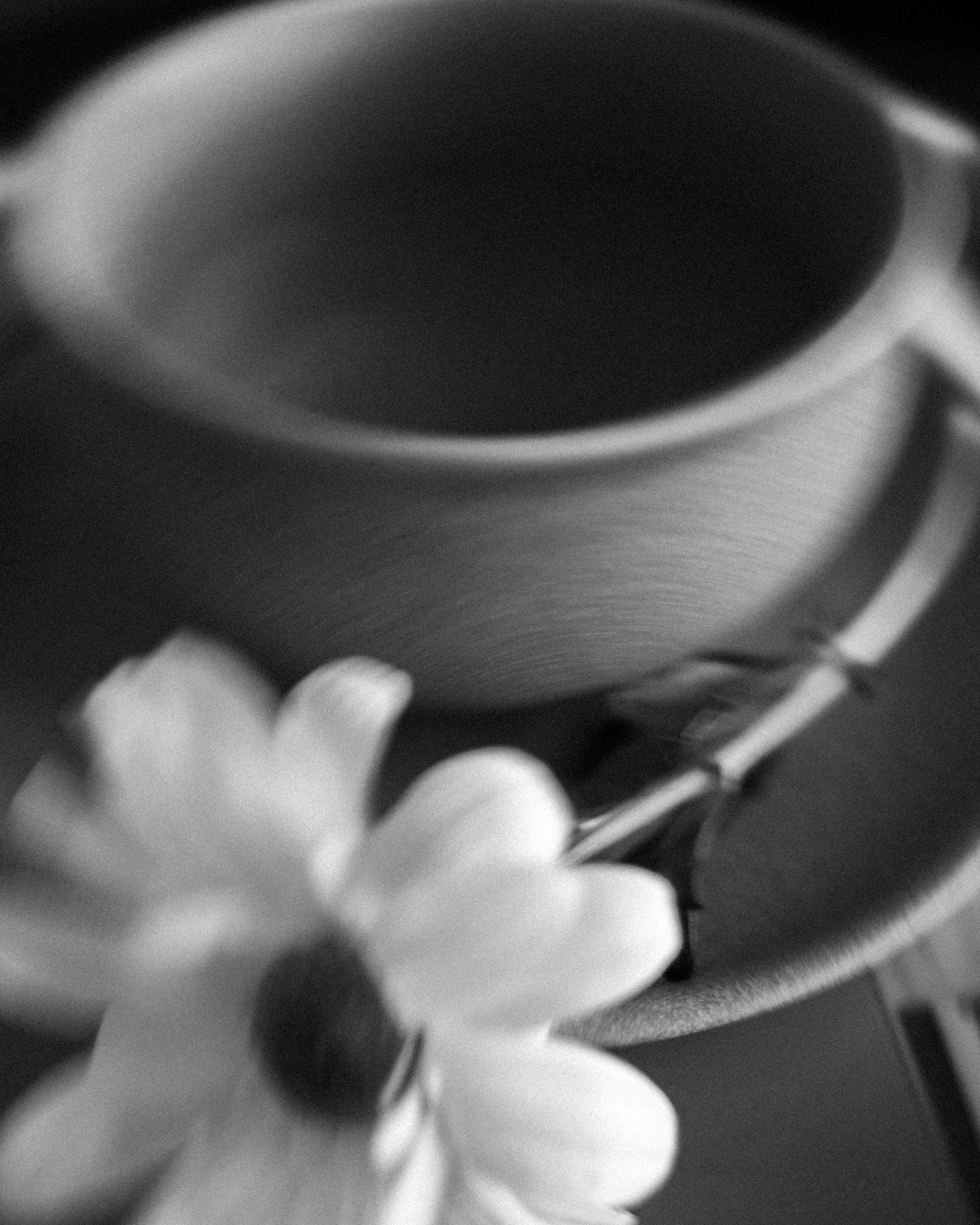 Дизайн квартиры: Фаина