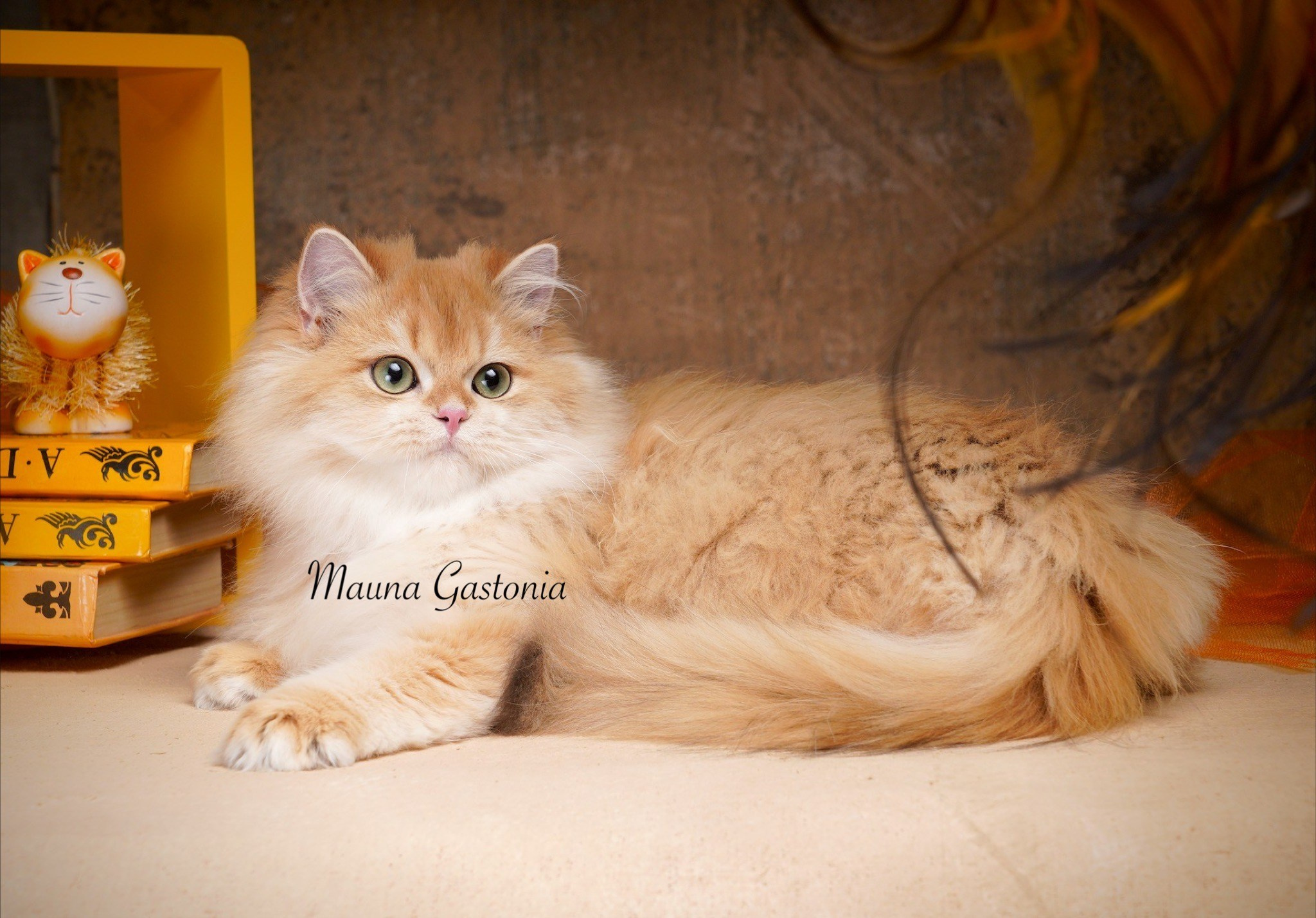 Germes. Mauna Gastonia