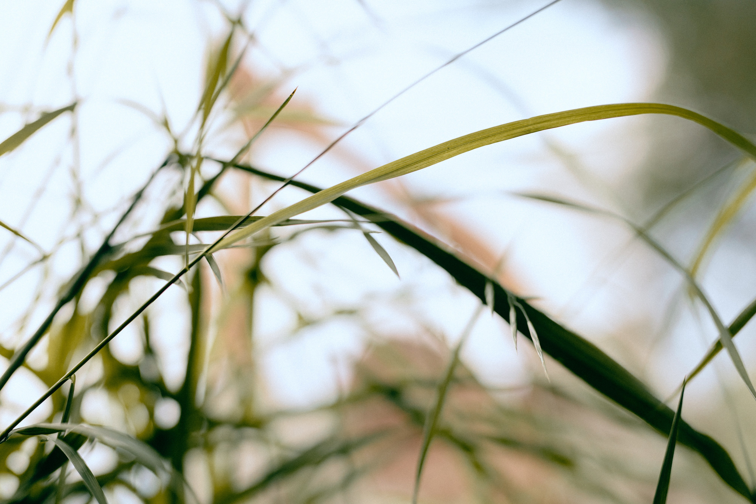 Душа леса. Варвара Синицына: семейный фотограф в Москве