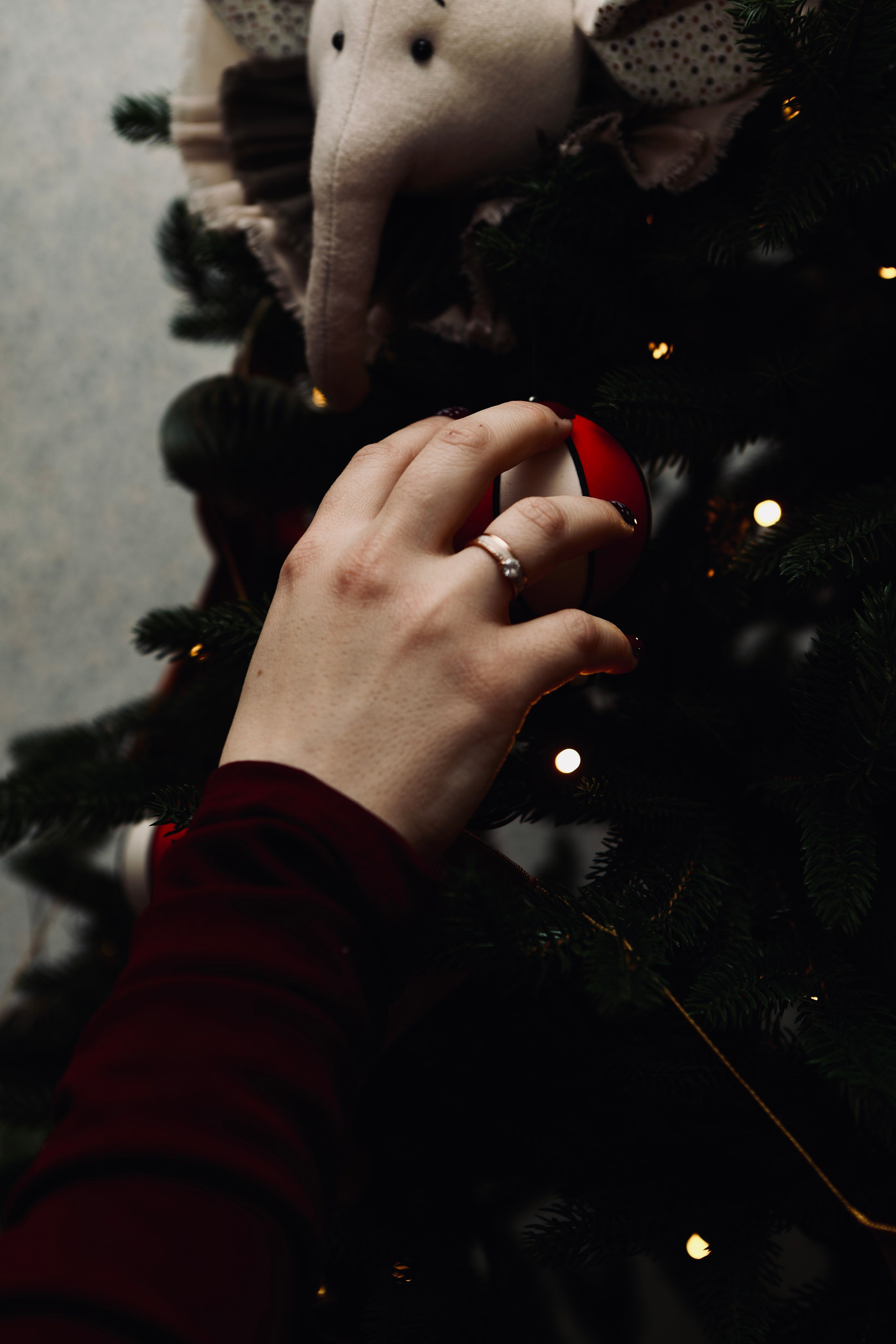 Яна Максим и Миша. Фотограф в Курске Смирнов Евгений