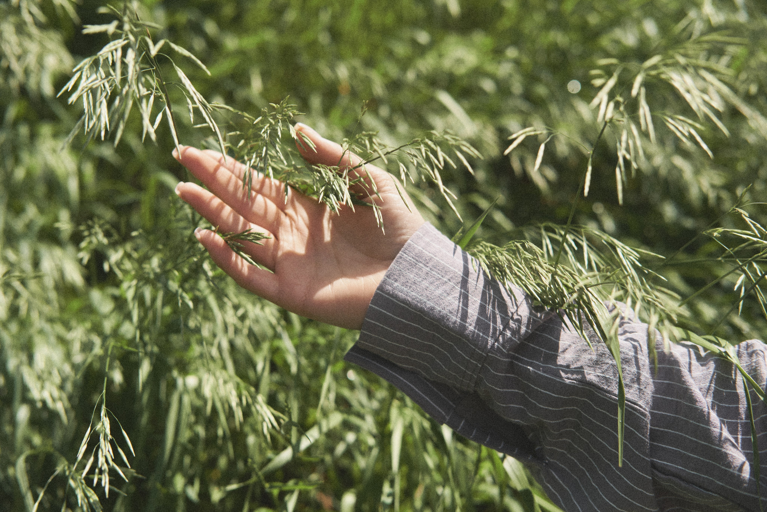 Портфолио. Артём Кузнецов, фотограф, Новосибирск