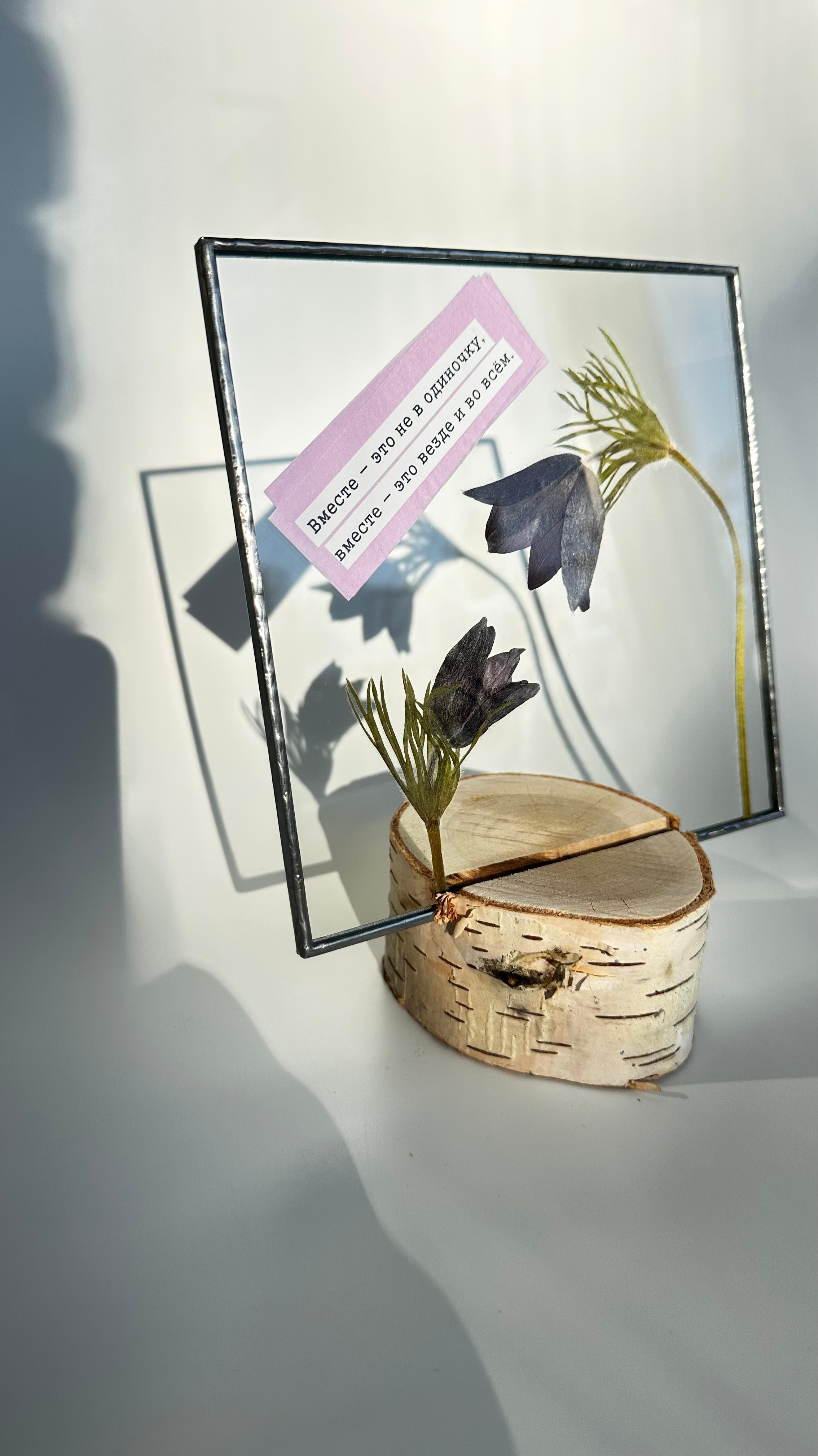 Гербарий в стекле с сухоцветами (витраж в технике тиффани). Гербарий в стекле, интерьерные панно, витражи с сухоцветами в технике тиффани