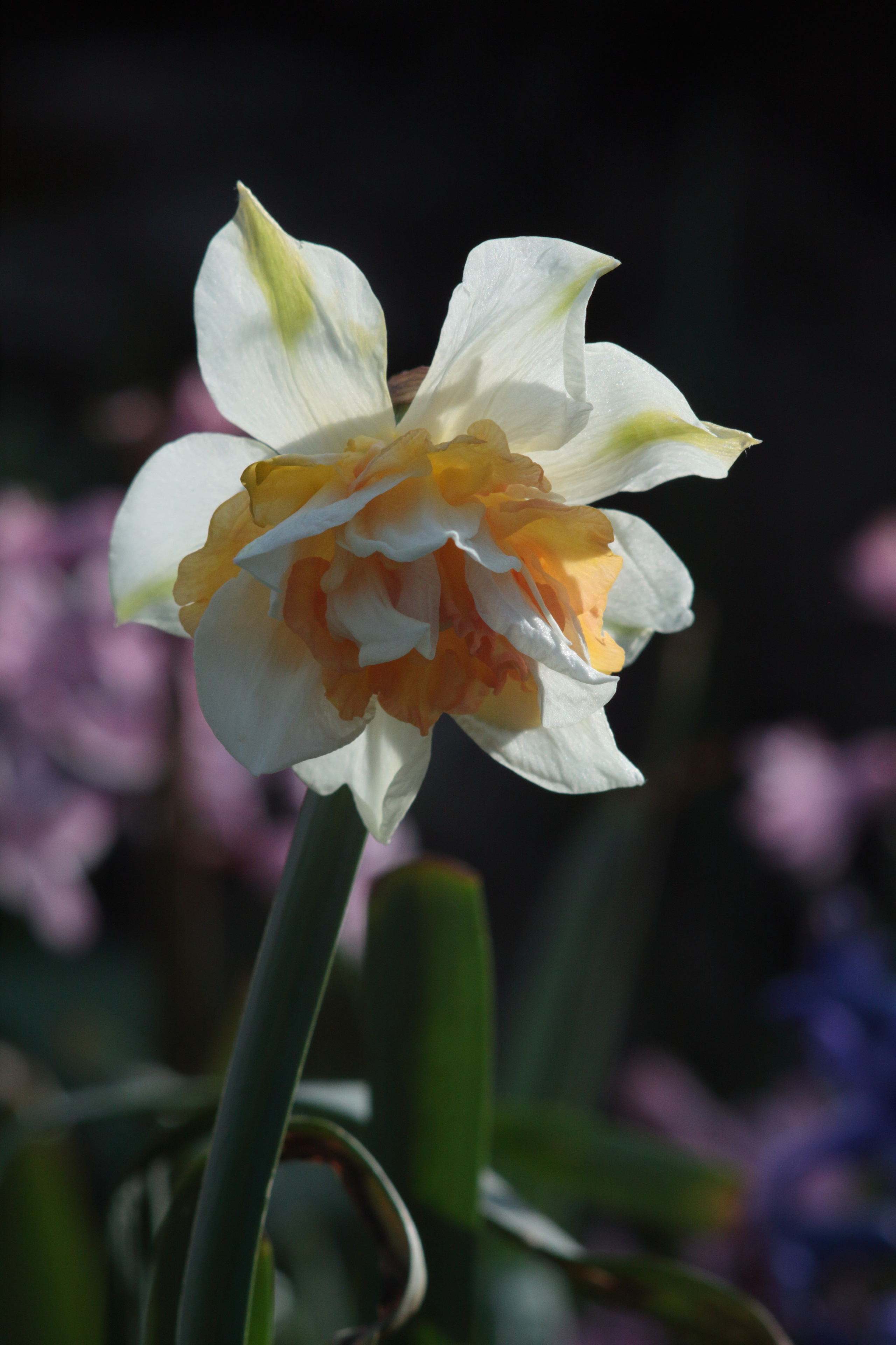 Старое природное, отбирала Katamount (Катерина Горохова). Главная