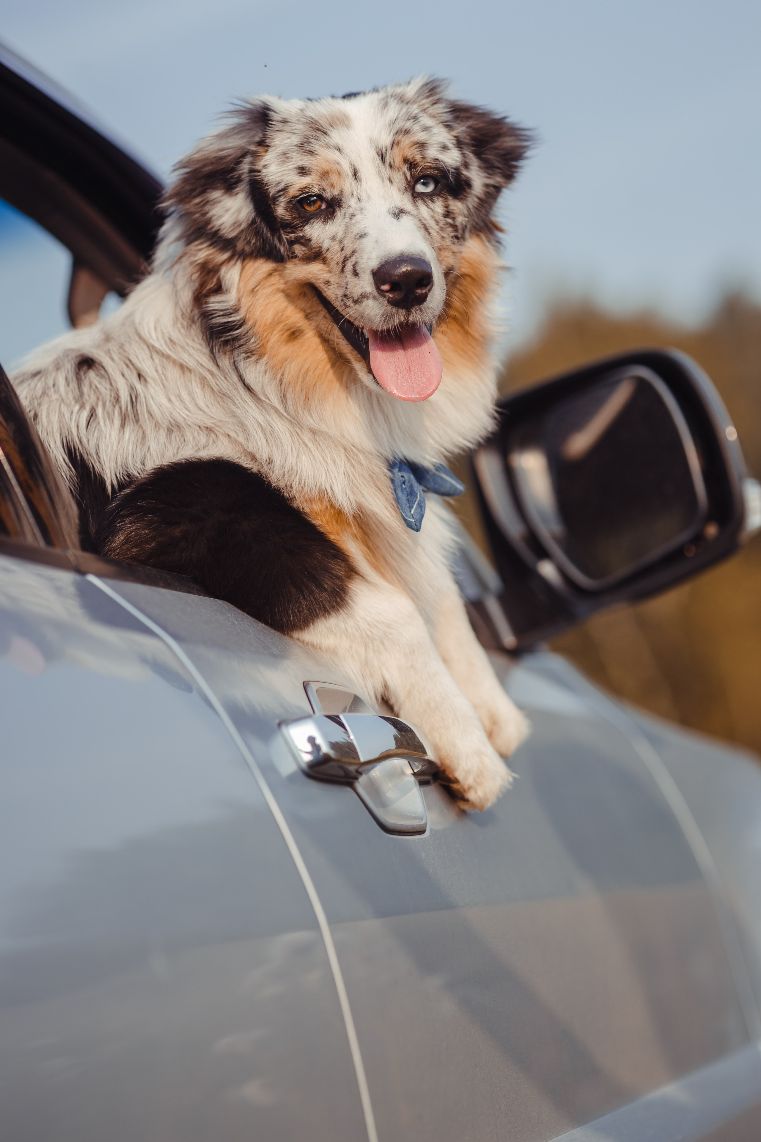 Mike. PHOTOGRAPHER romanoff-egor